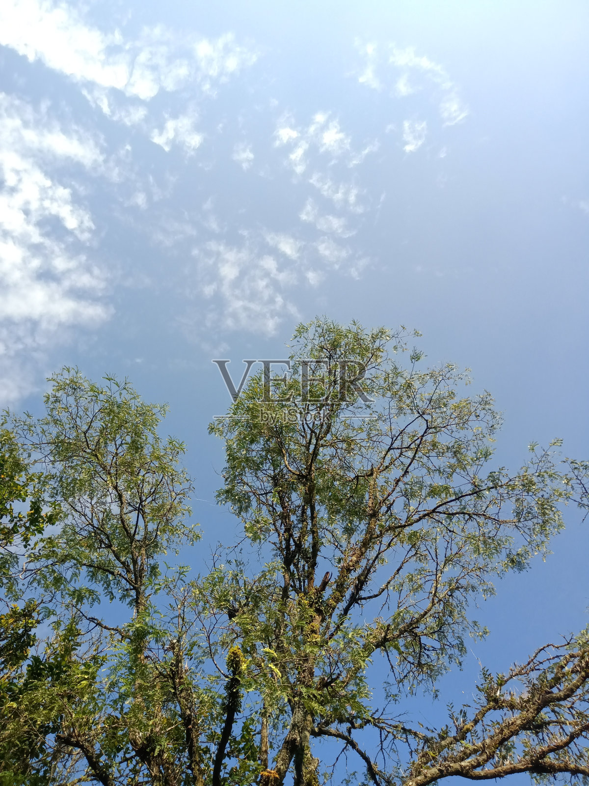 美丽的照片中照片摄影图片