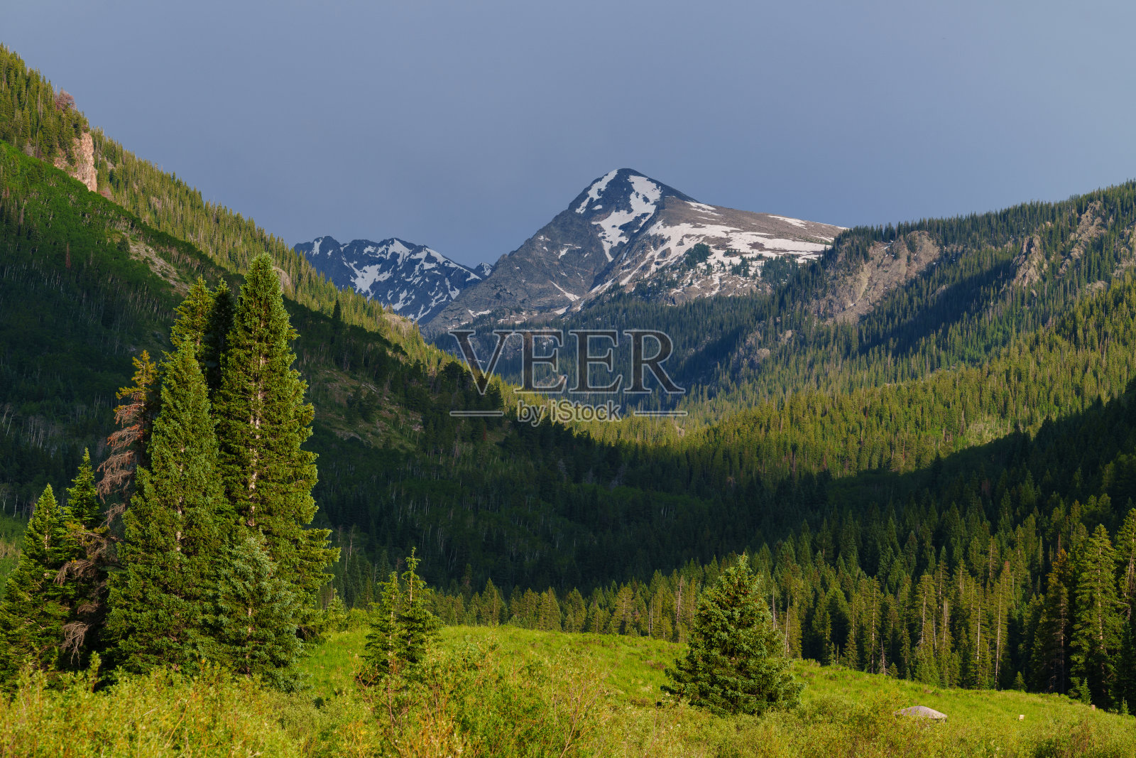 夏季风景优美的山景与郁郁葱葱的草地照片摄影图片