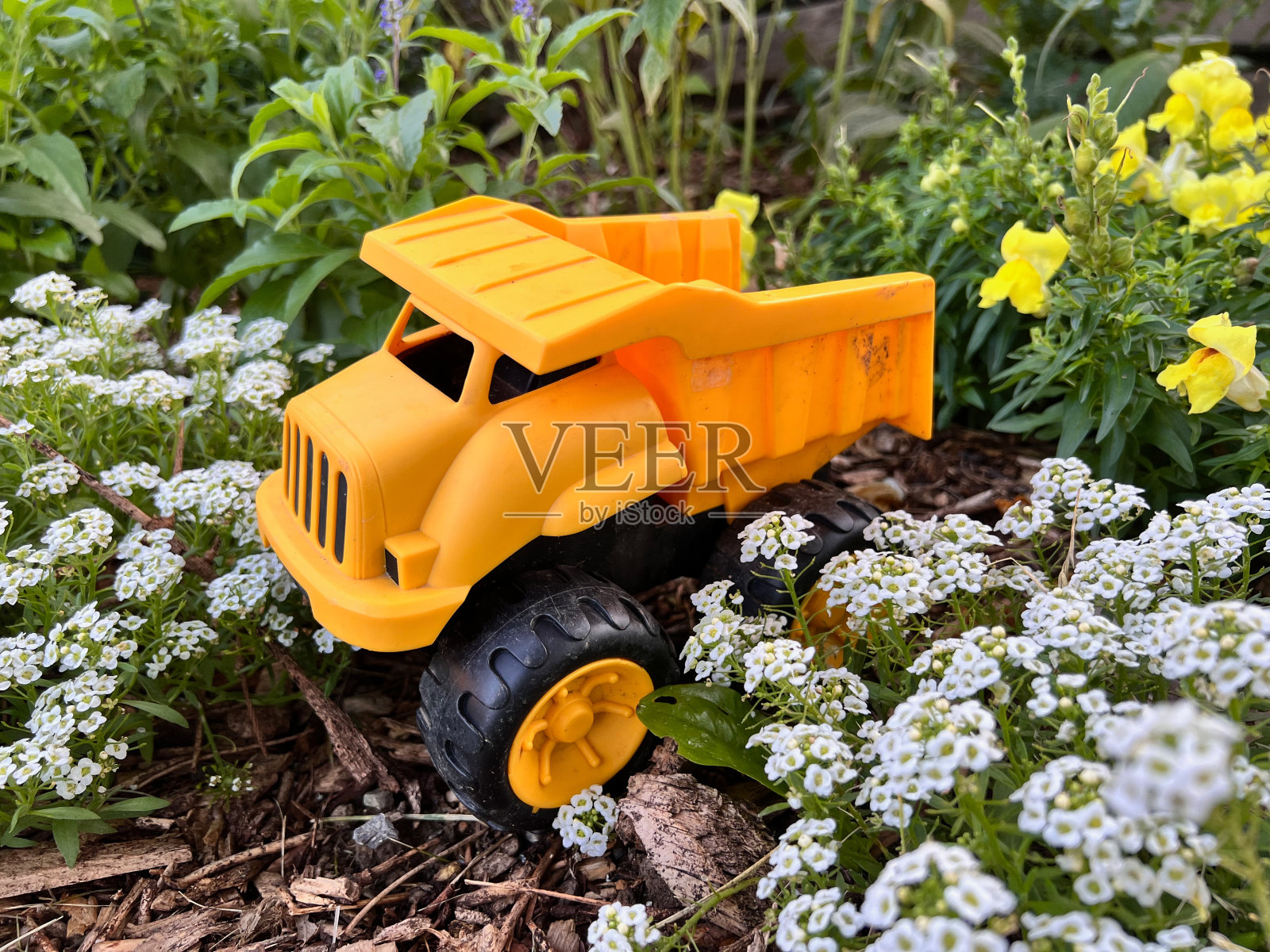 在爱丽森花园的玩具卡车照片摄影图片