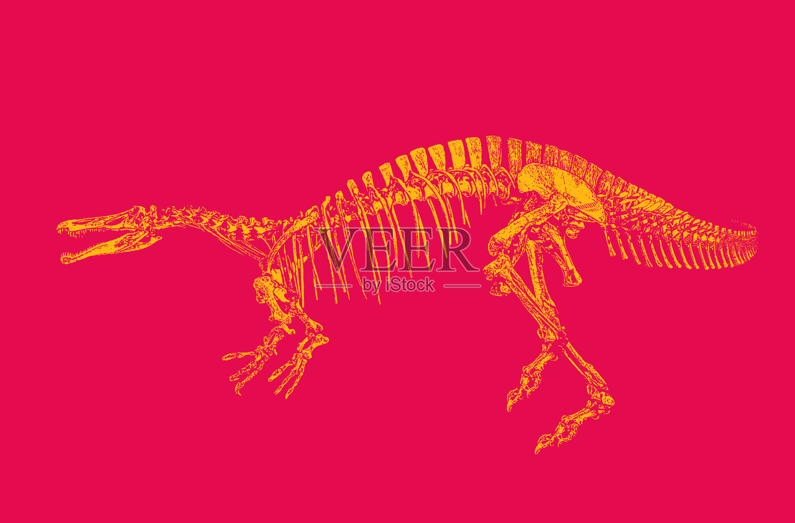 恐龙骨架插画图片素材