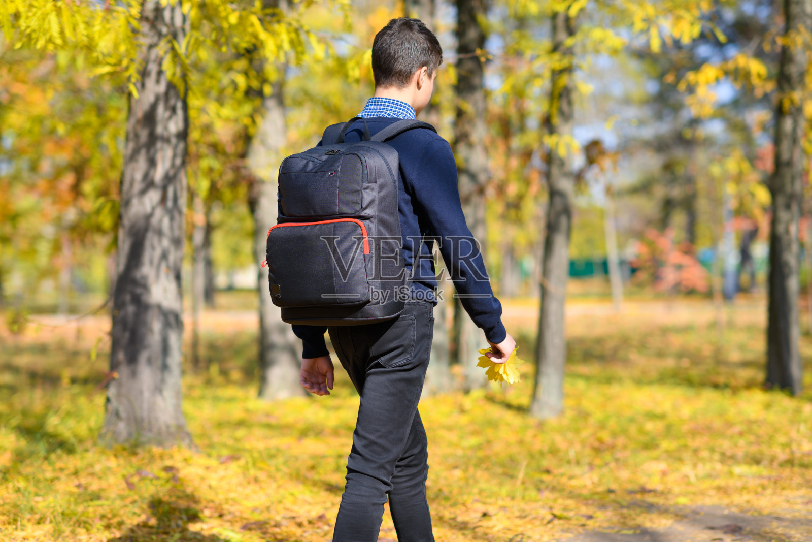 一个十几岁的男孩走过一个秋天的公园，在一个阳光明媚的日子里，树木的叶子都变黄了照片摄影图片