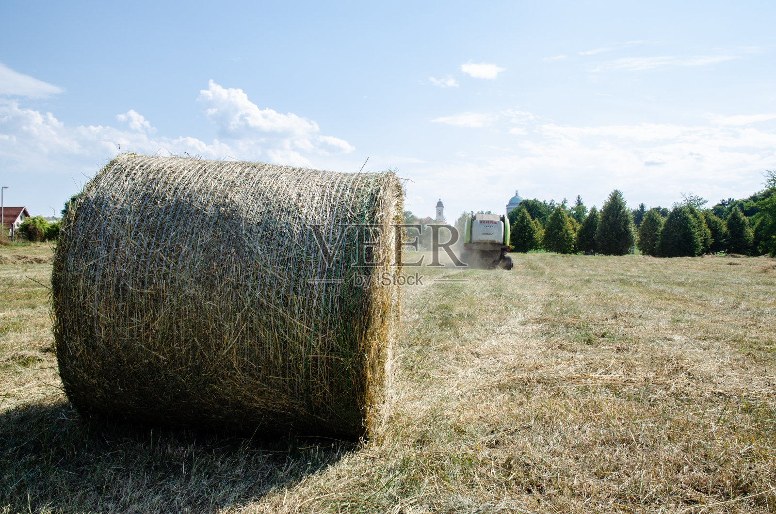 新鲜的包照片摄影图片