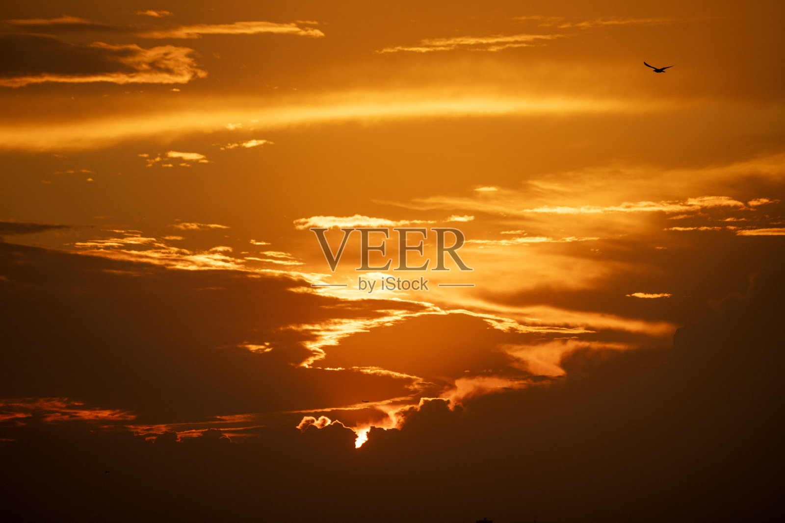 土耳其伊斯坦布尔美丽的日落和海鸥照片摄影图片