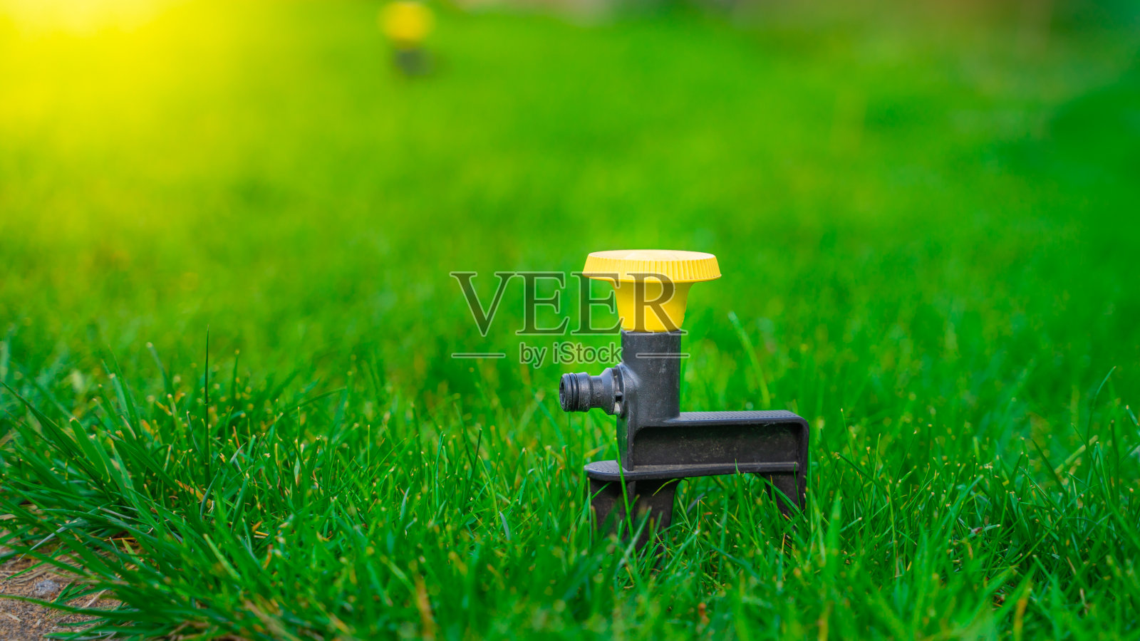 黄色圆形通用草坪洒水器设置在绿色的草地。夏天修剪整齐的草坪照片摄影图片