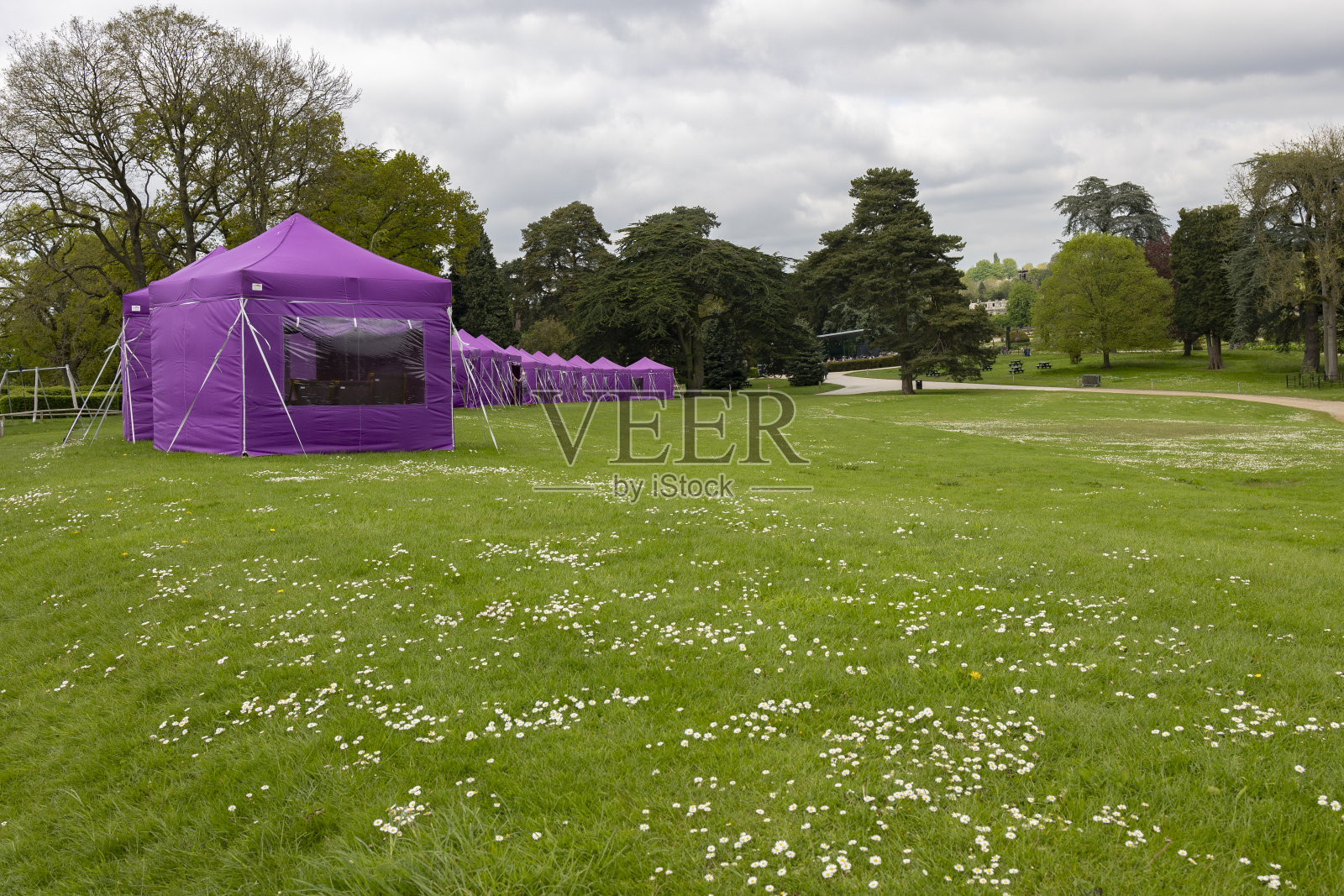 一排紫色的凉亭在景观草坪与常绿树木的背景。照片摄影图片