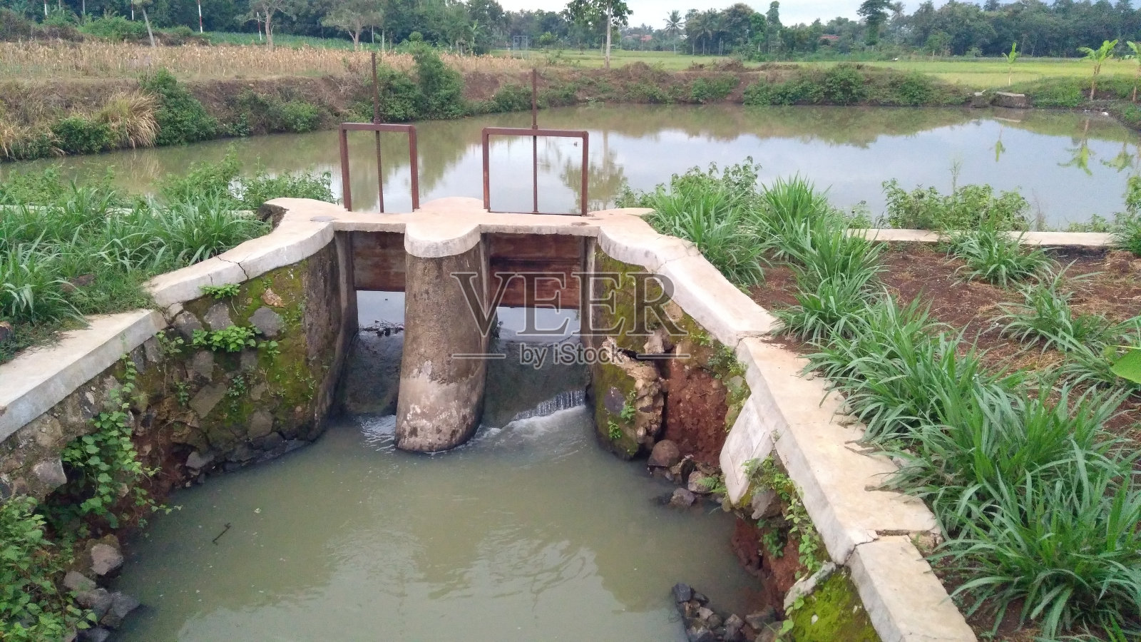 农村灌溉渠照片摄影图片