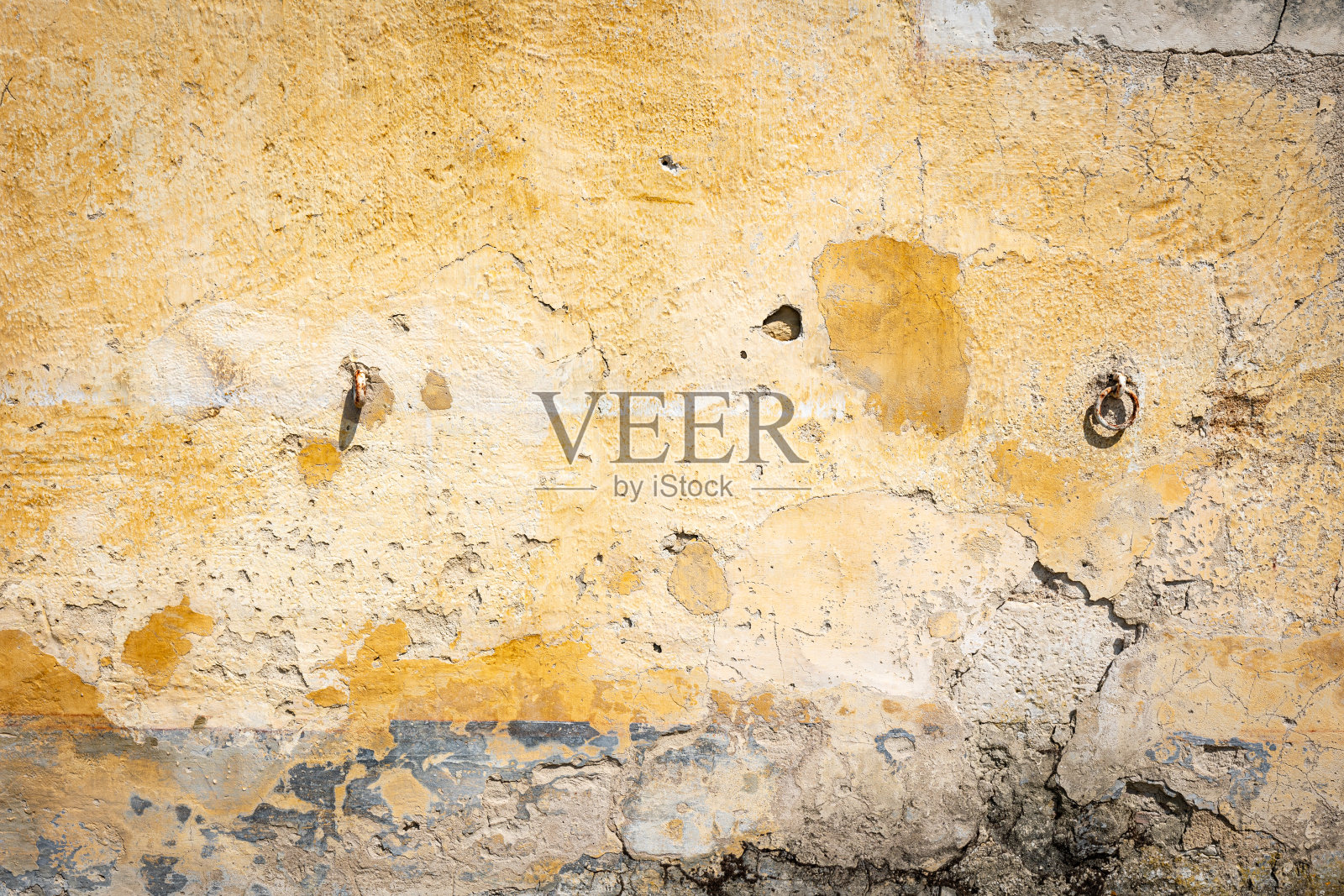 葡萄园里蠕动的酿酒葡萄照片摄影图片