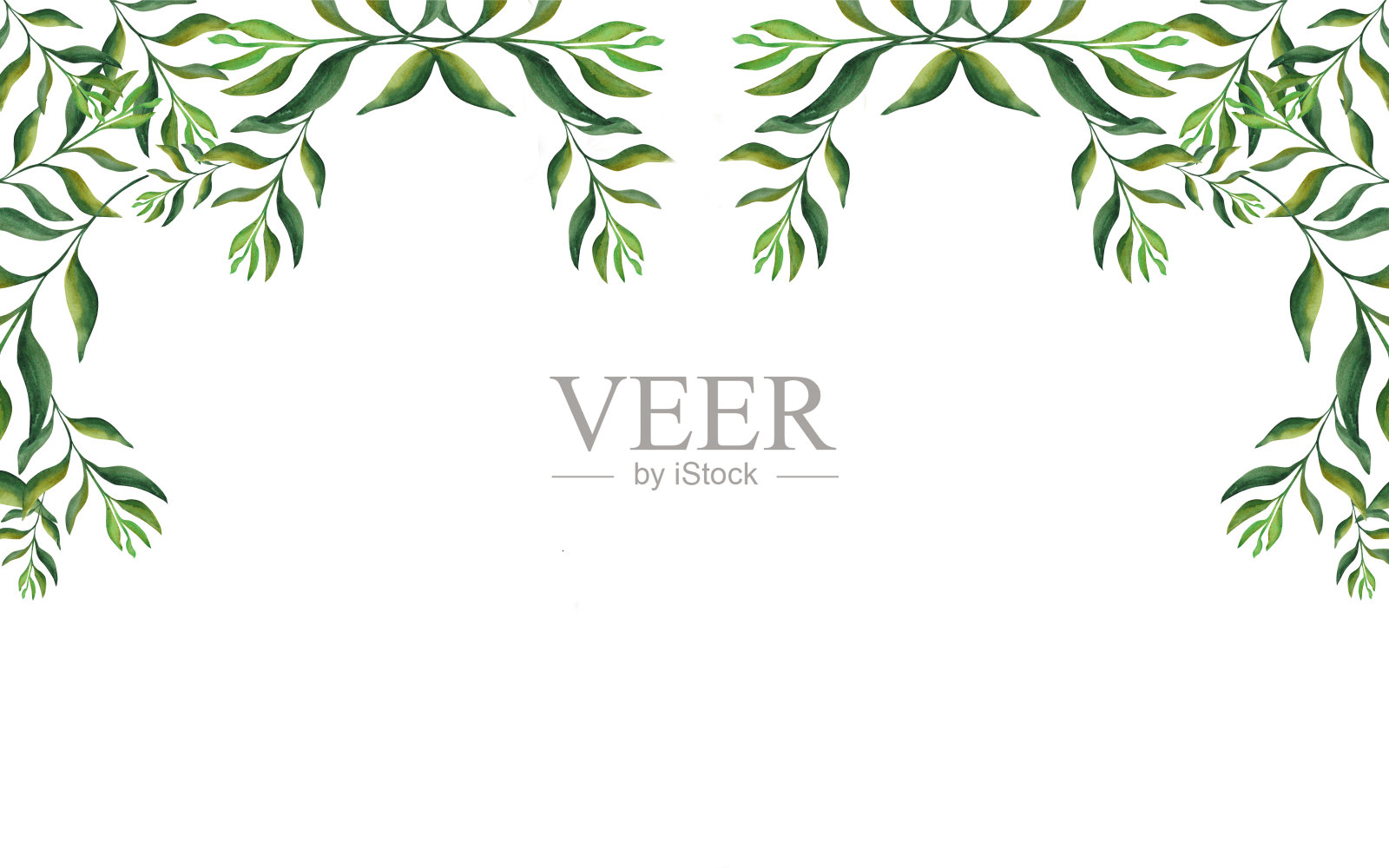 抽象的叶子。横幅从美丽的绿色树枝在白色的背景。为您设计的横幅插画图片素材