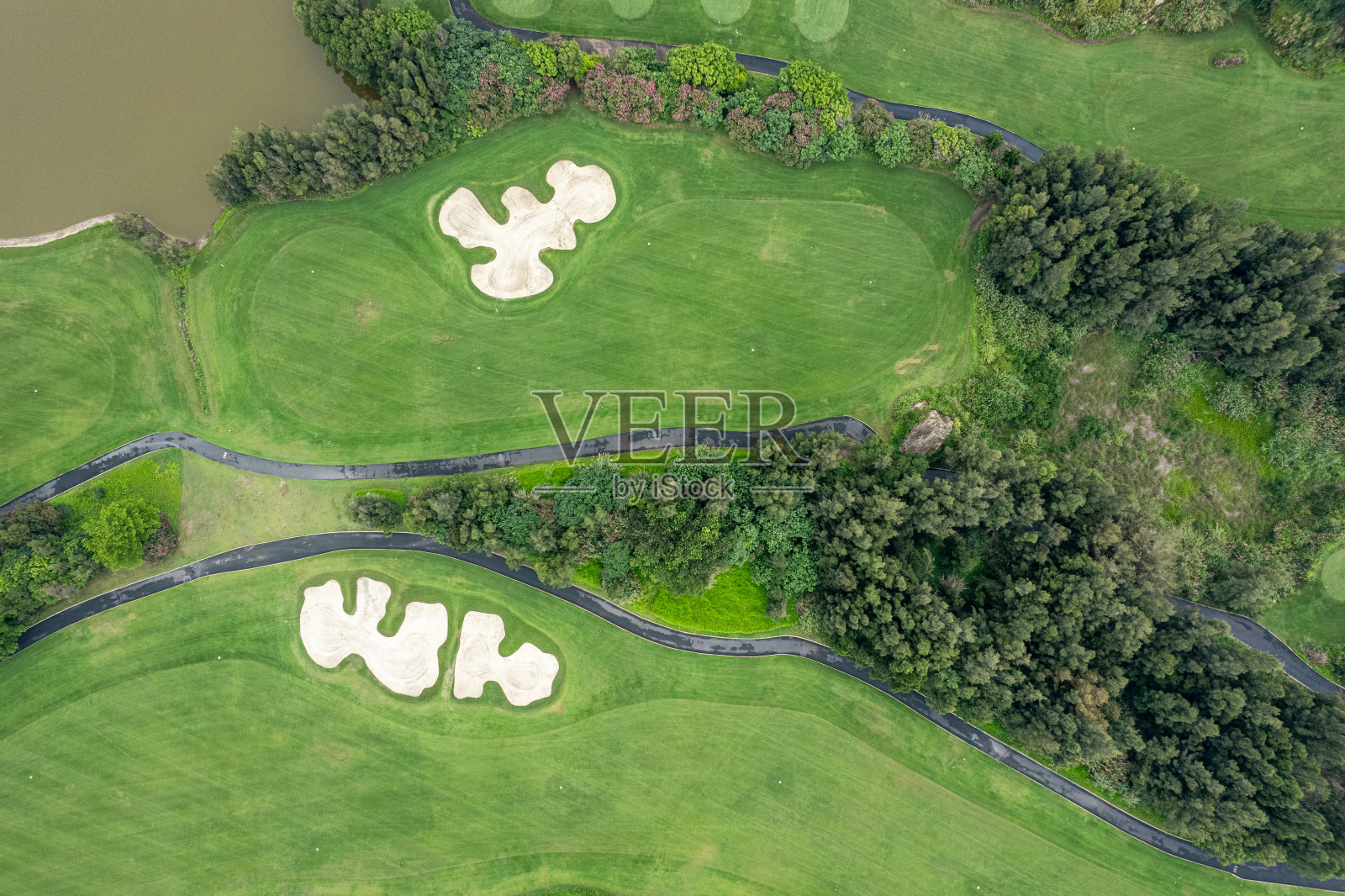 高尔夫球场的垂直鸟瞰图照片摄影图片