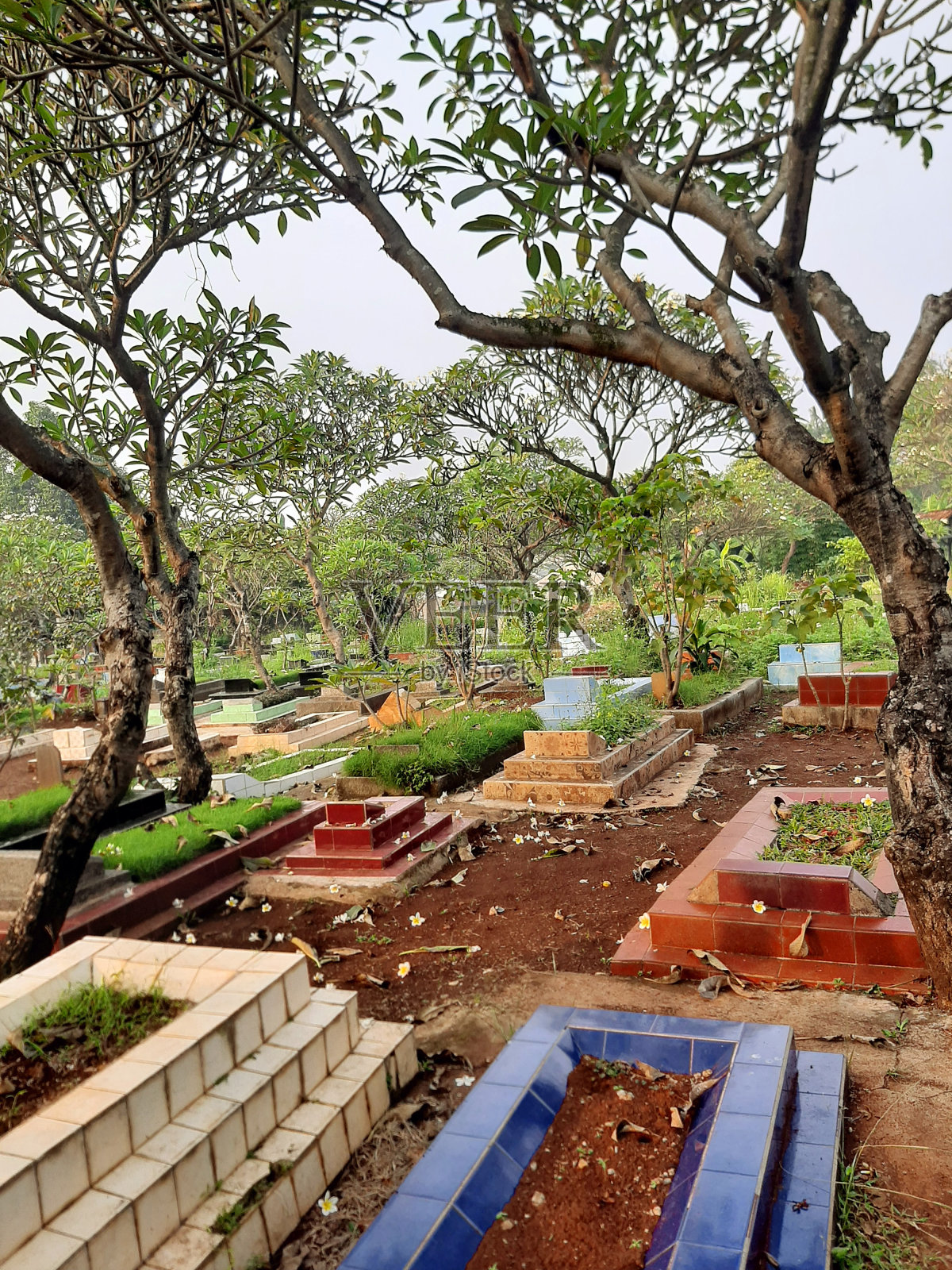 一个墓地照片摄影图片