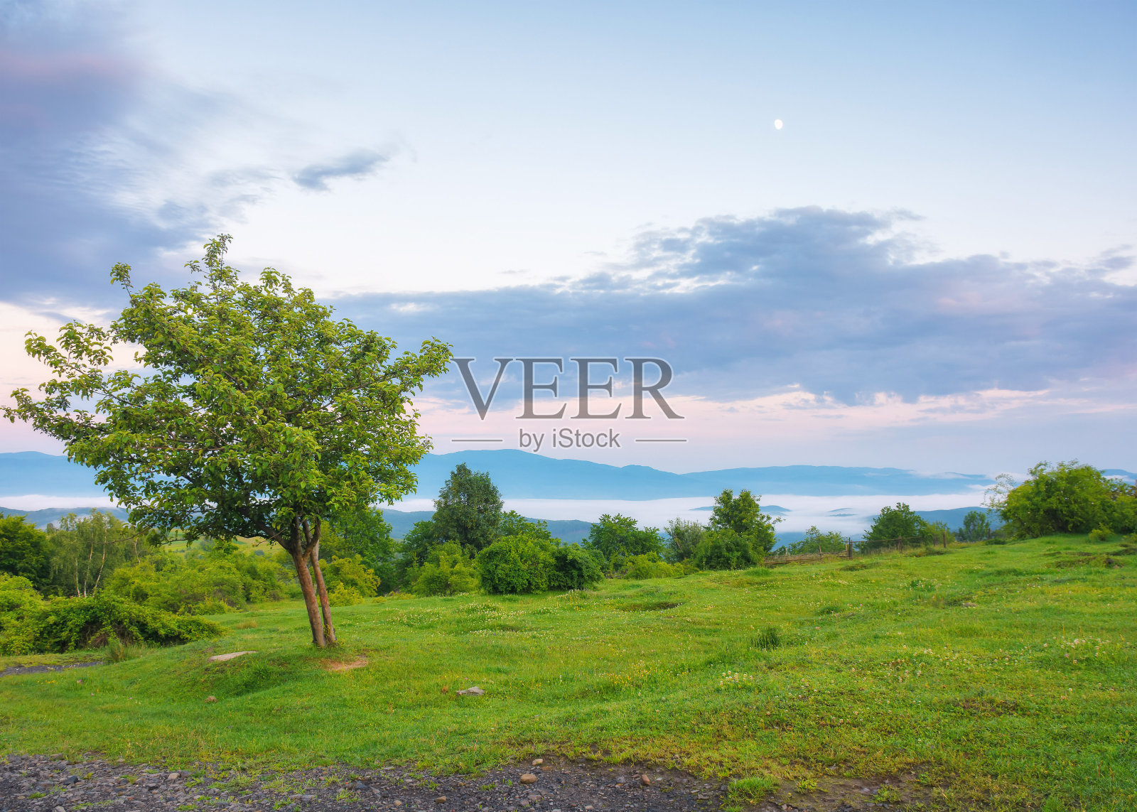 夏日黎明的乡村风光照片摄影图片