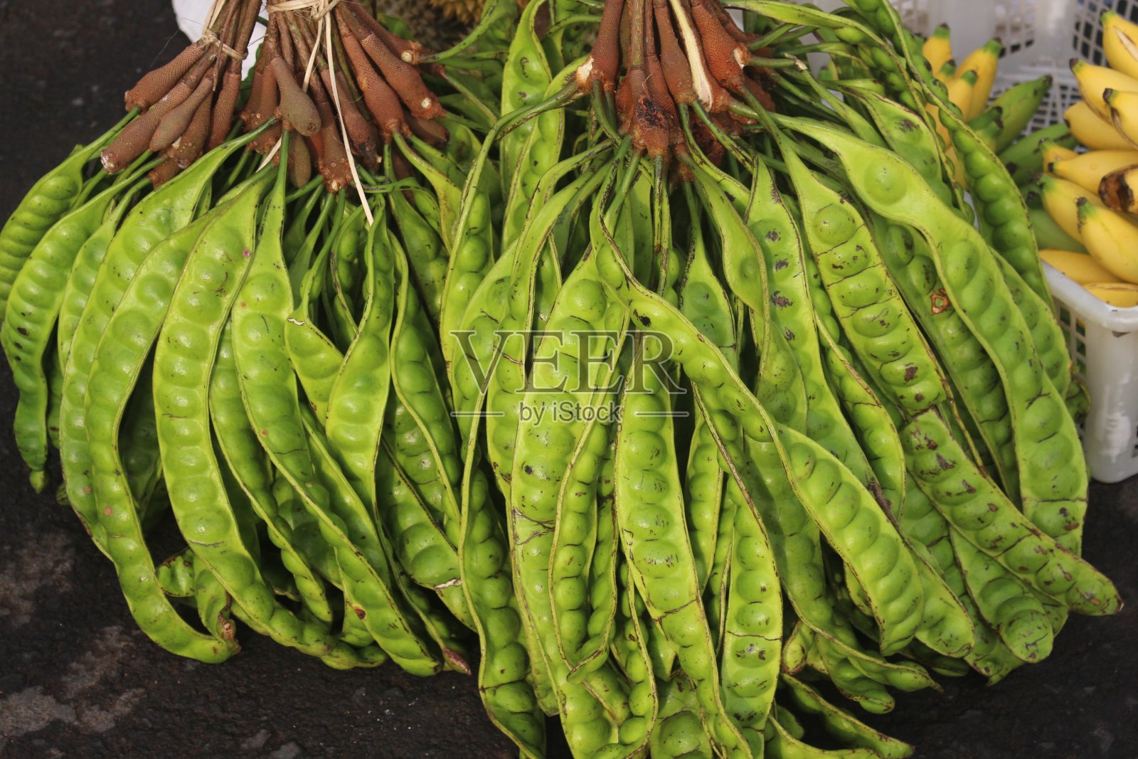 Petai, pete或mlanding (Parkia speciosa)照片摄影图片