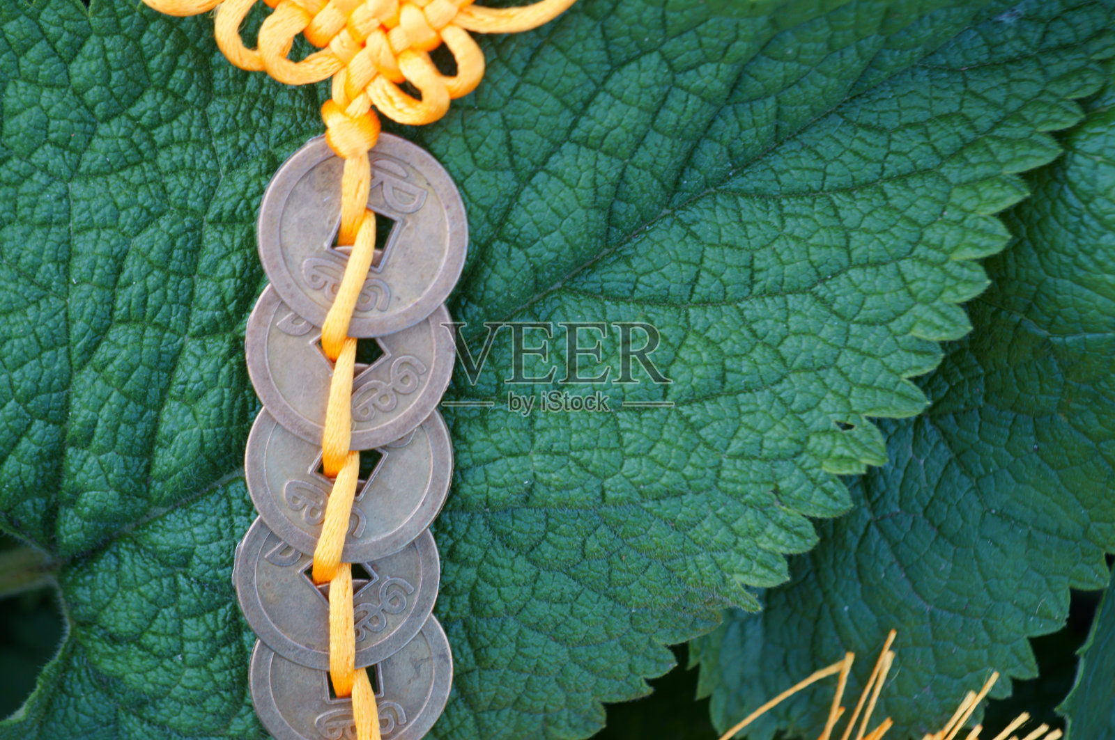 绿叶上的一束中国硬币。照片摄影图片