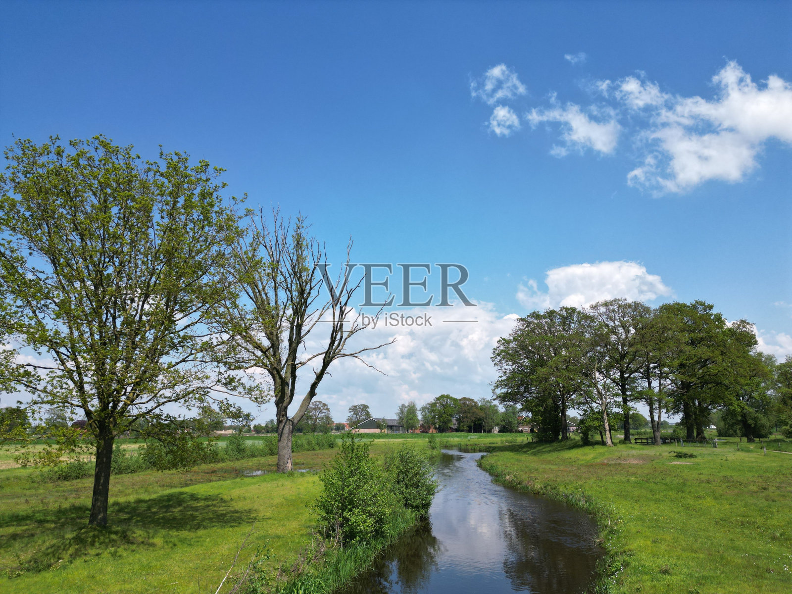 位于荷兰东部的自然区域，名为“De Doorbraak”。照片摄影图片