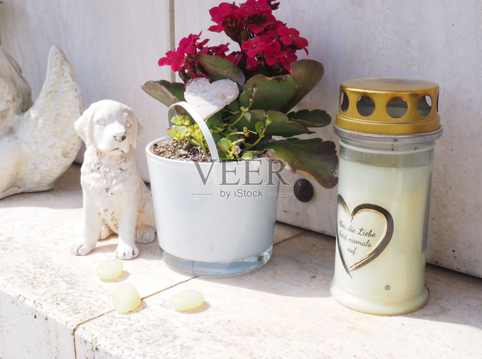 一个狗雕像的特写，在一个阳光明媚的日子里，白色的玻璃和鲜花里有一支哀悼的蜡烛照片摄影图片