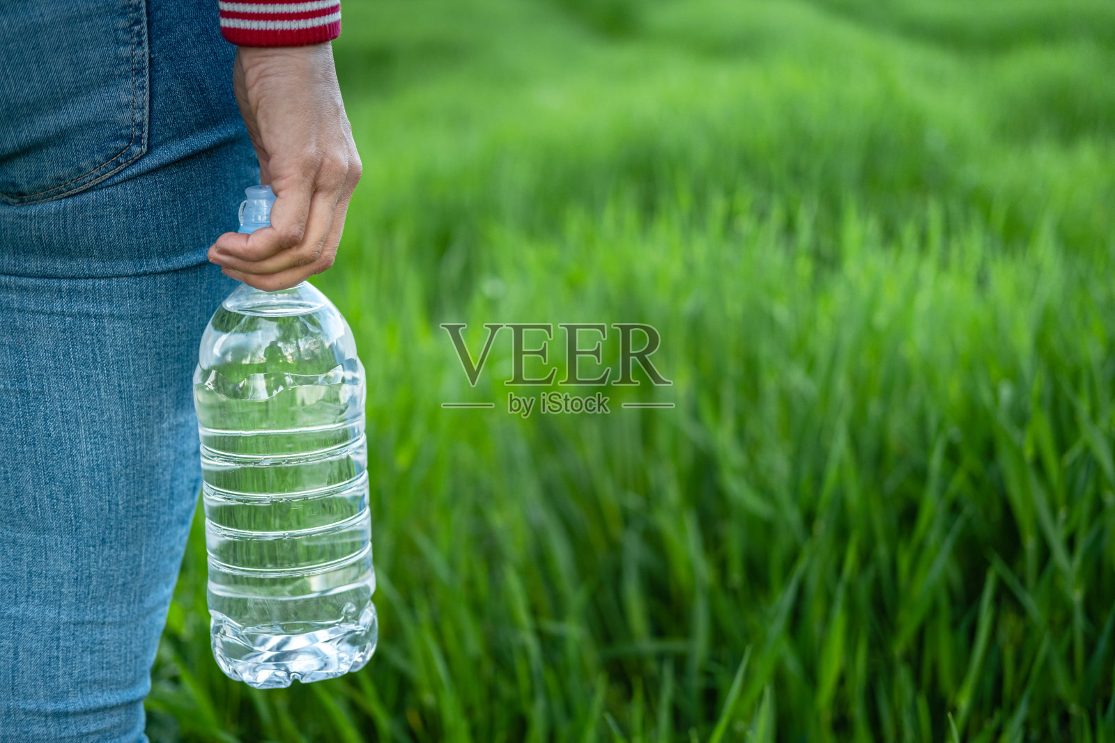 女性手里拿着塑料瓶里的水。照片摄影图片