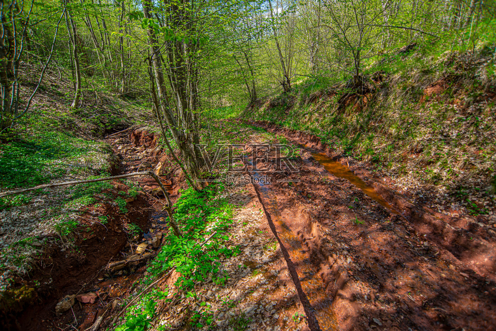 塞尔维亚南部美丽的春景。苏瓦平原山照片摄影图片