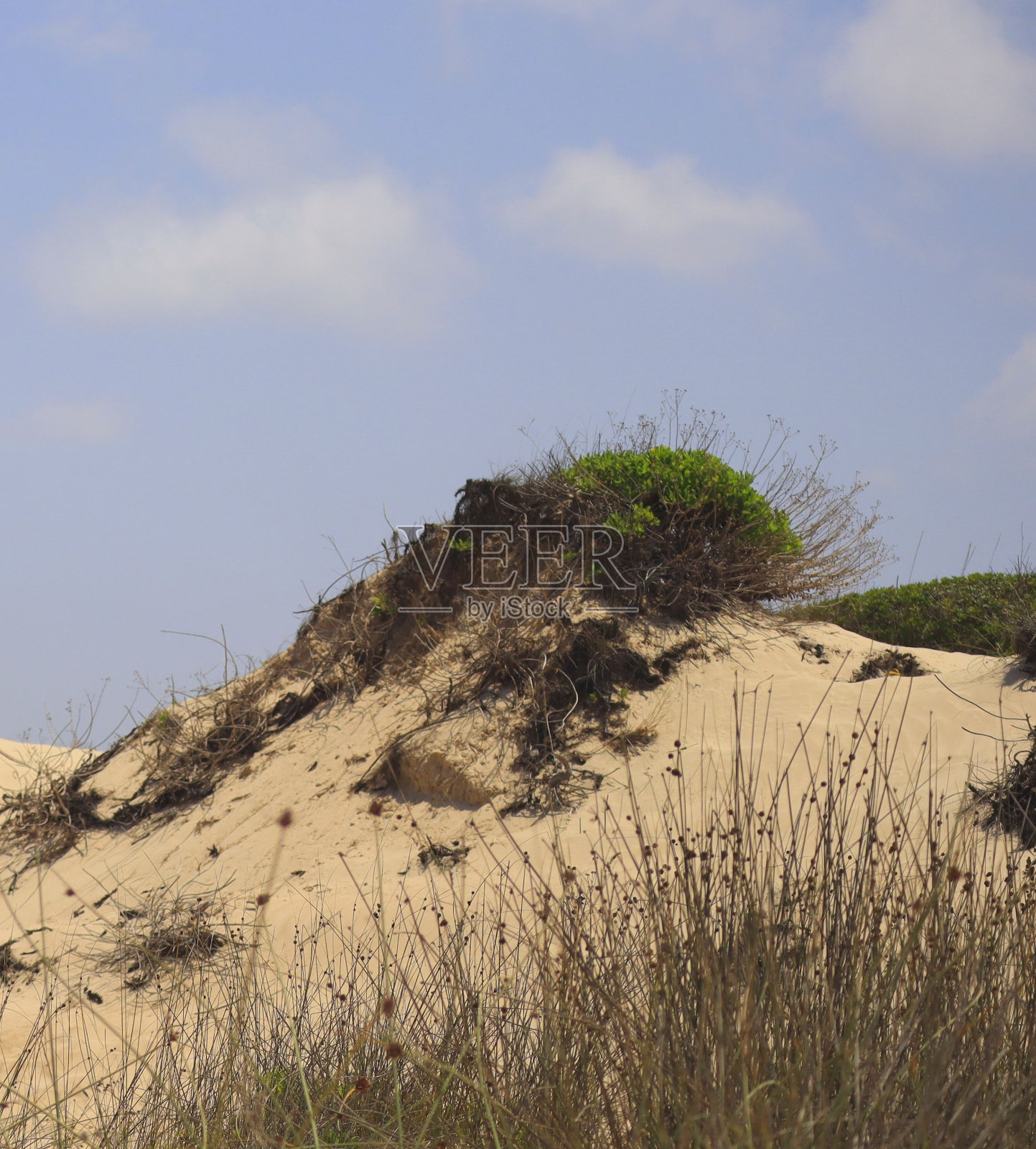 被阳光照亮的沙丘照片摄影图片