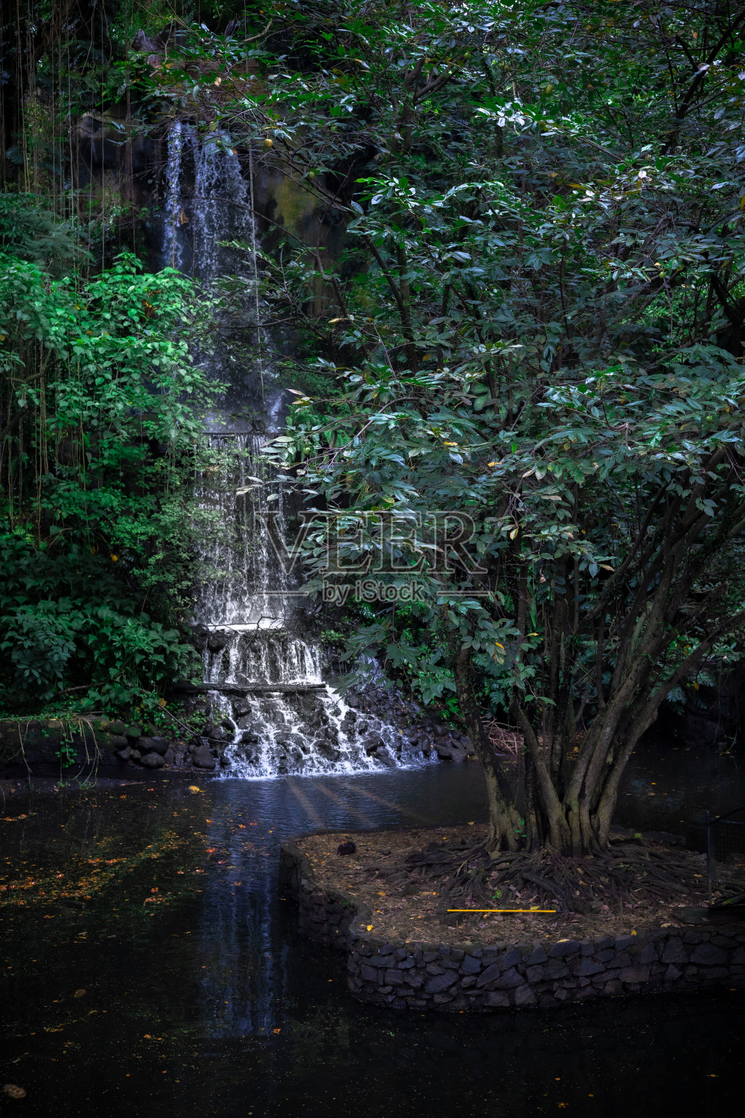 美丽的瀑布照片摄影图片