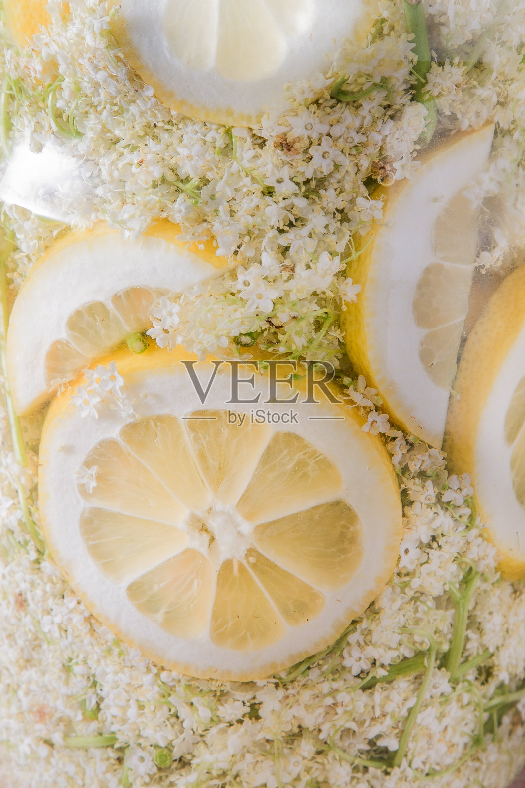 接骨木花饮杯。白花灌木。收割花蕾制作糖浆和饮料。烹饪的饮料。照片摄影图片