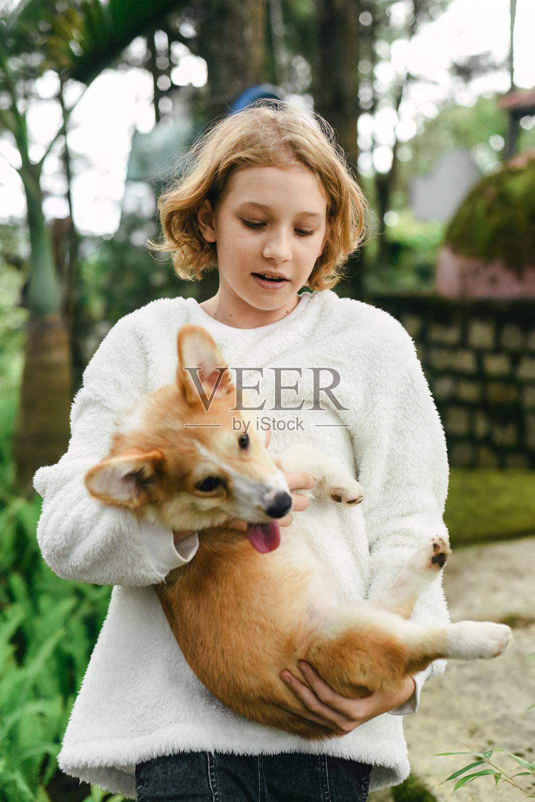 秋天的一天，可爱的小女孩抱着她的柯基狗照片摄影图片