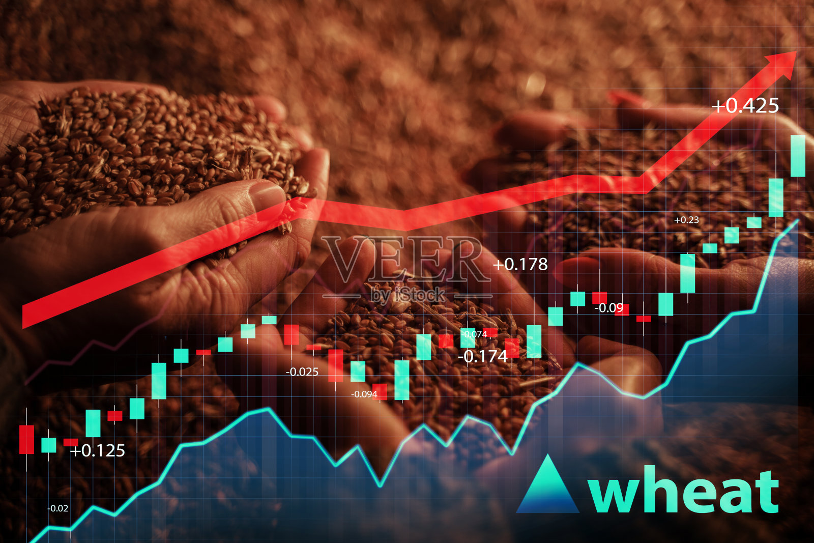 亏空观念与女农民小麦粮食照片摄影图片