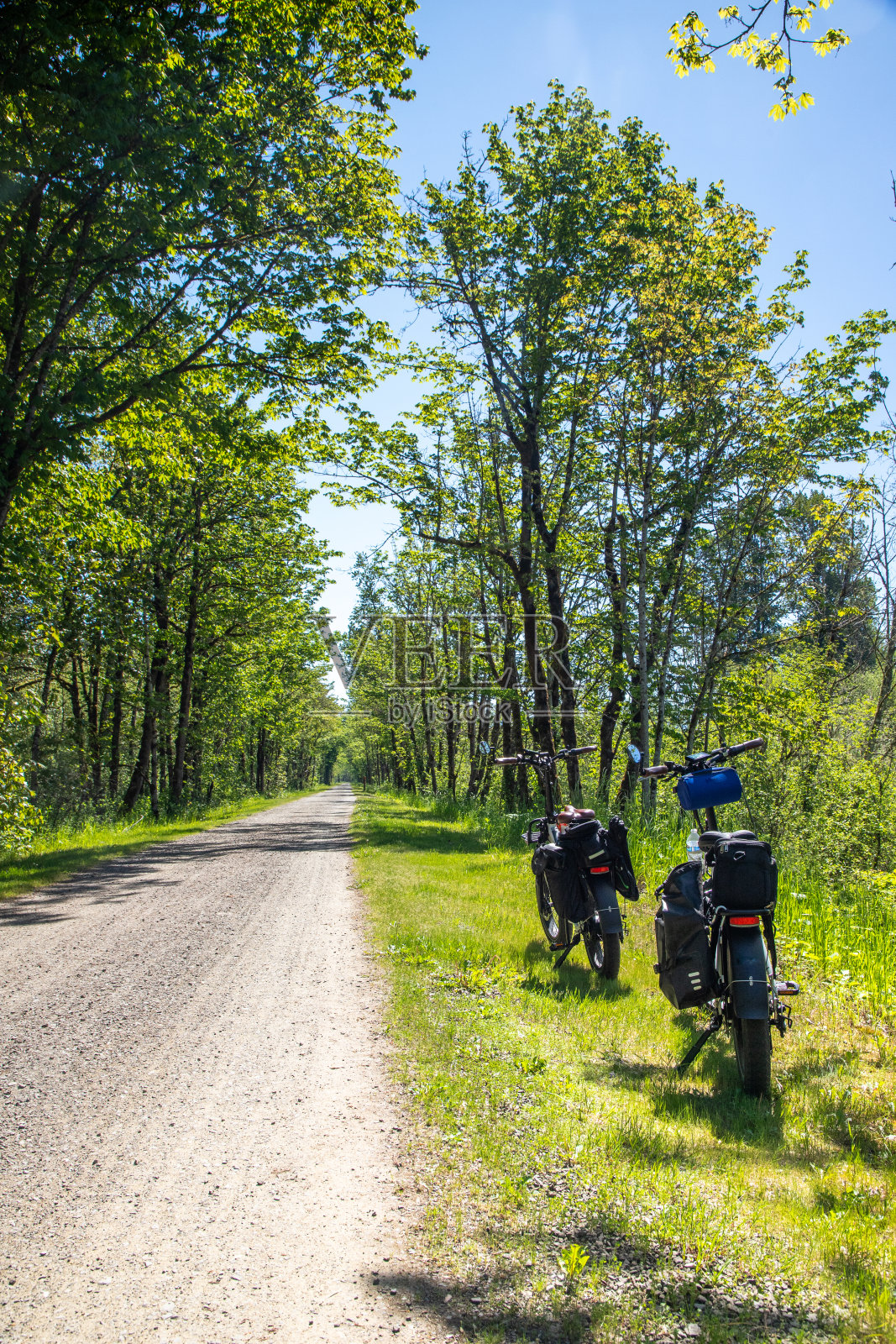 两辆电动自行车沿着小径行驶照片摄影图片
