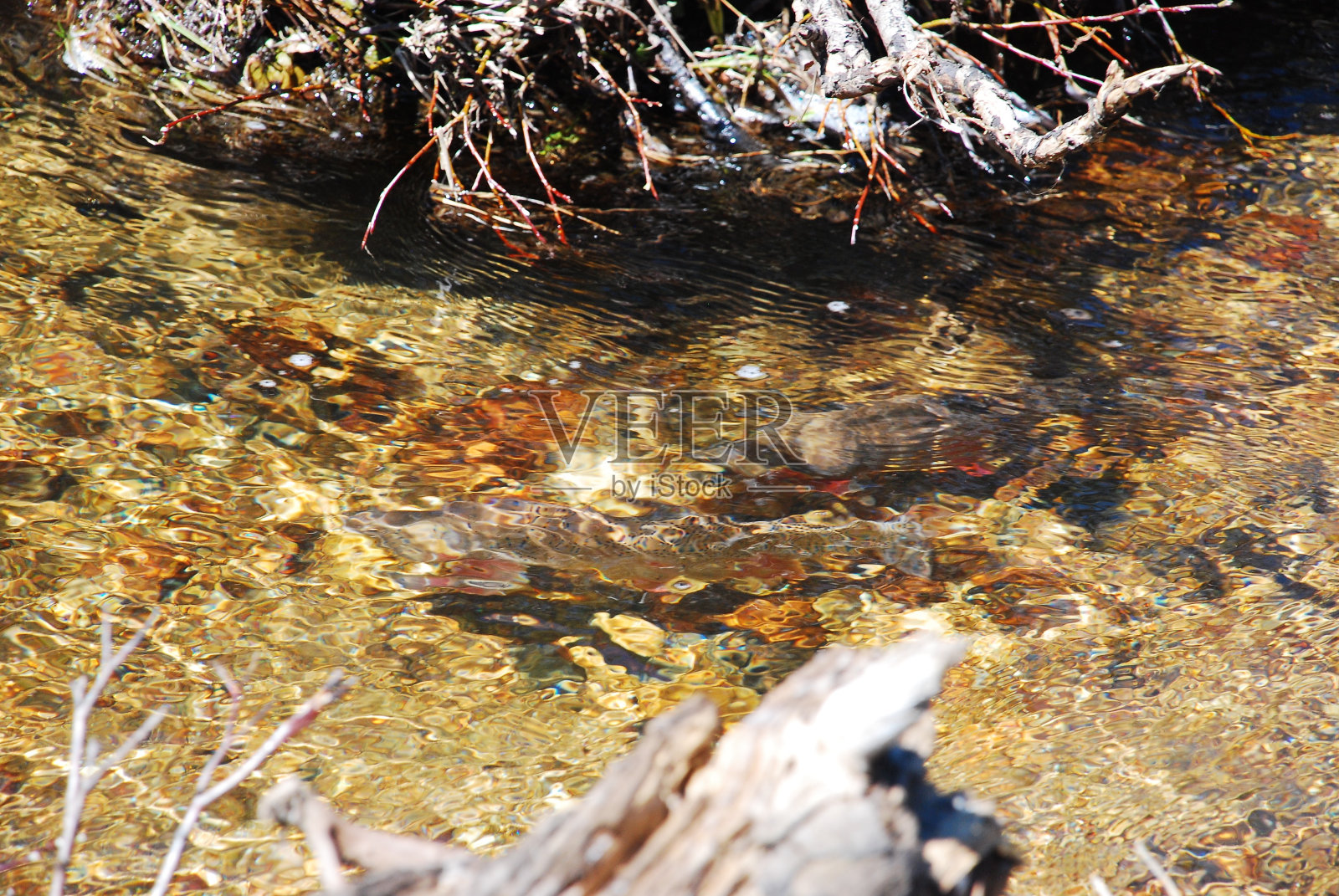 科罗拉多州照片摄影图片