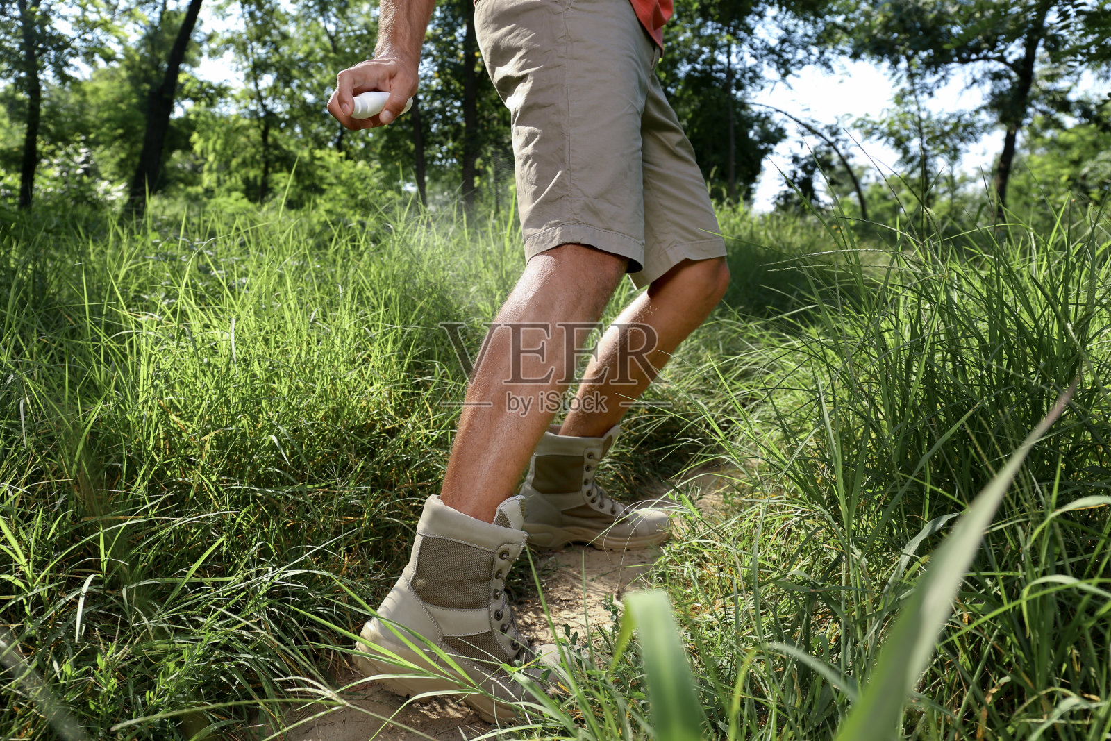 在野外远足时，一名男子在腿上喷洒驱蜱剂，特写照片摄影图片