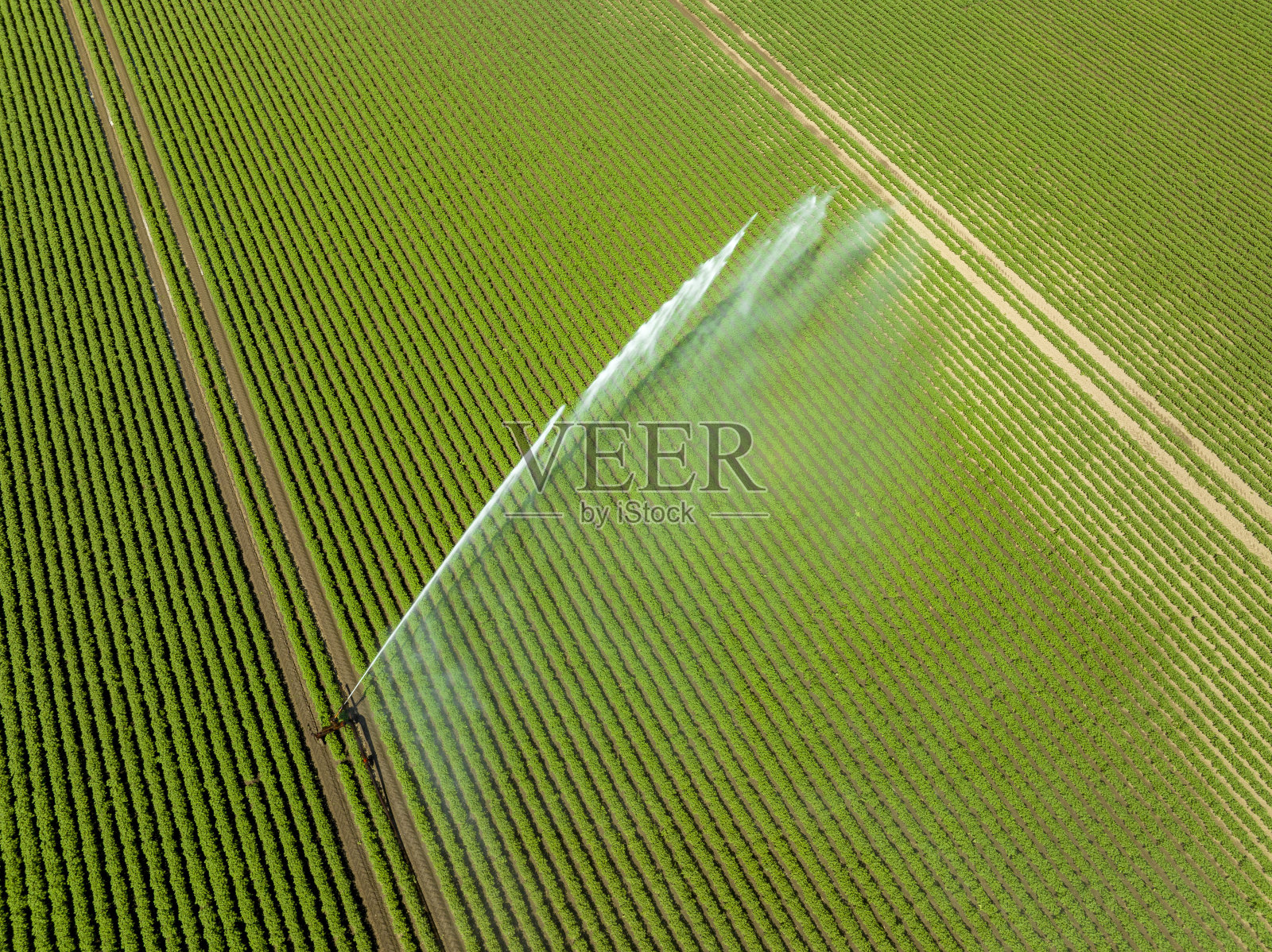 喷灌机在田地里喷水照片摄影图片