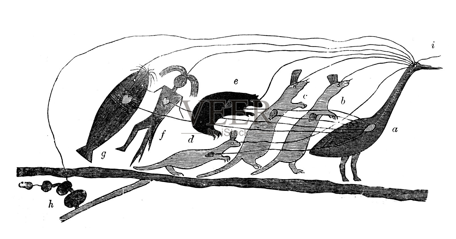 古董插图，民族志和土著文化:北美土著绘画插画图片素材