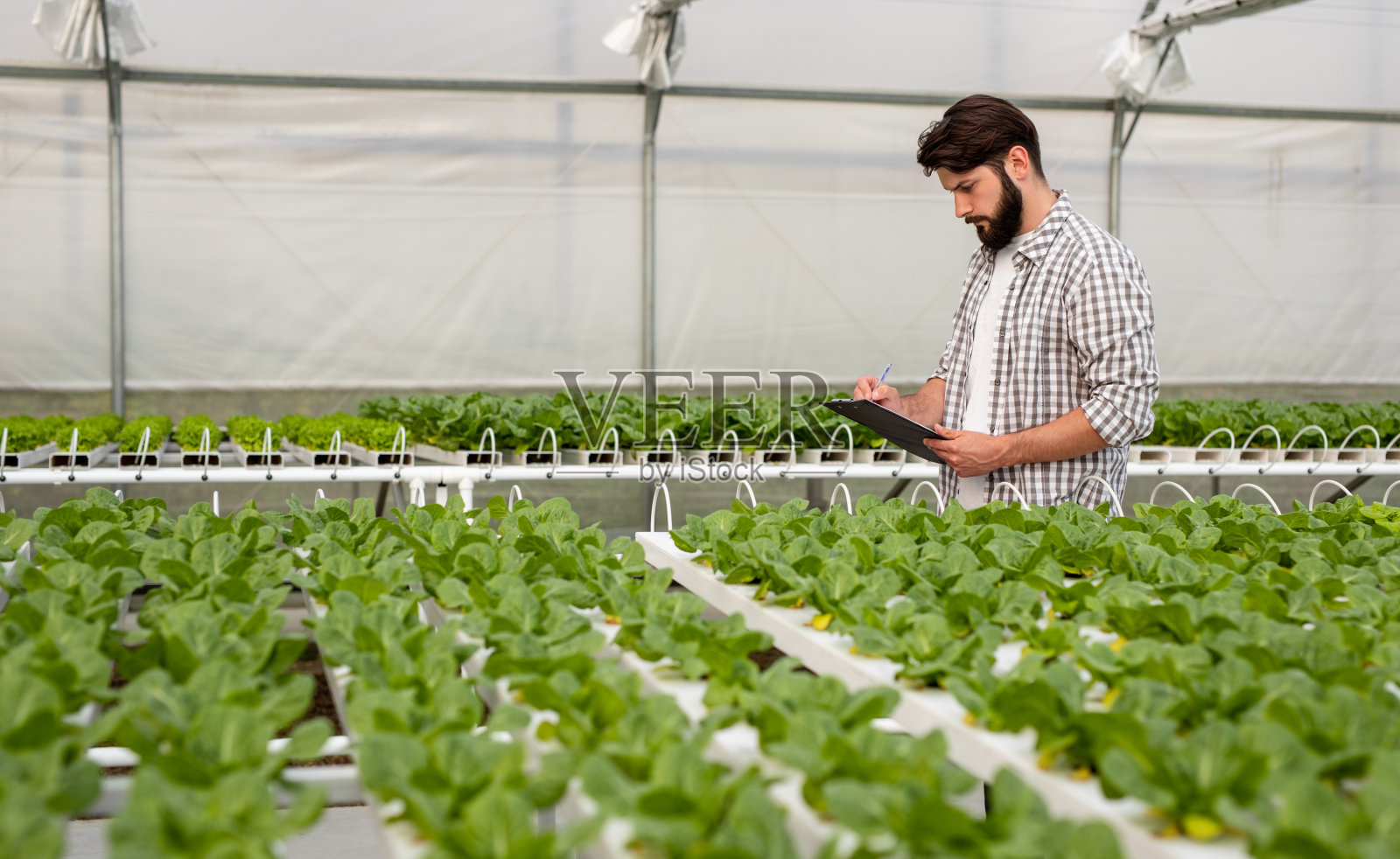 农民在温室里记笔记照片摄影图片