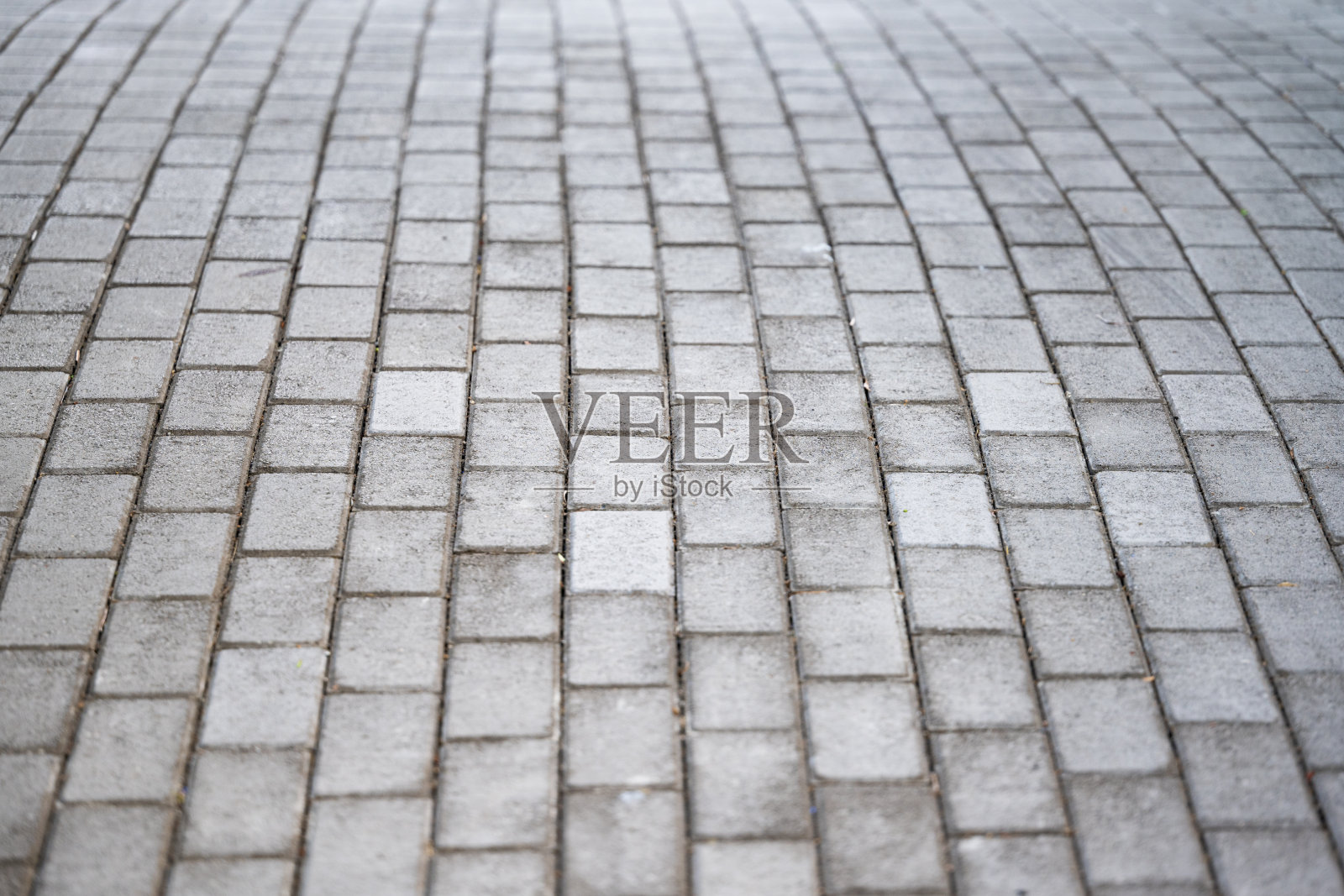 丰沙尔市的人行道照片摄影图片