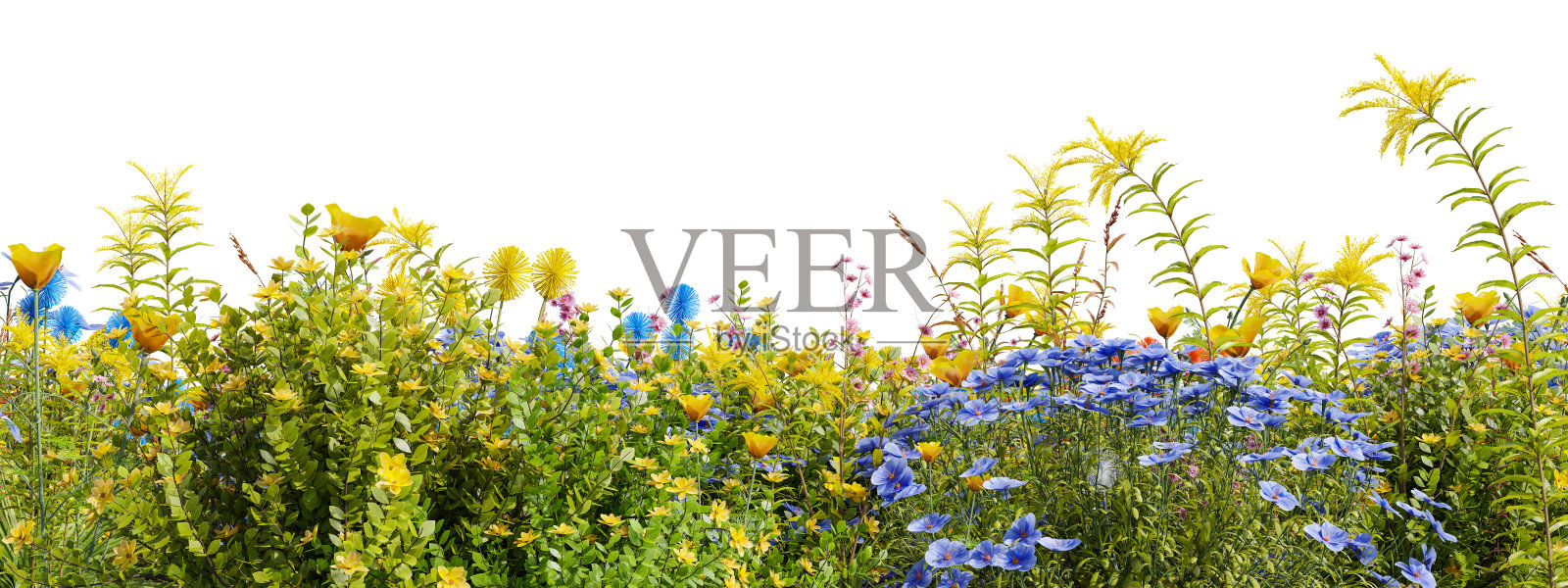 自然界的常绿花草地，春天花园的花朵，白色背景上孤立的热带森林，用于创建和设计的3D渲染插图等照片摄影图片