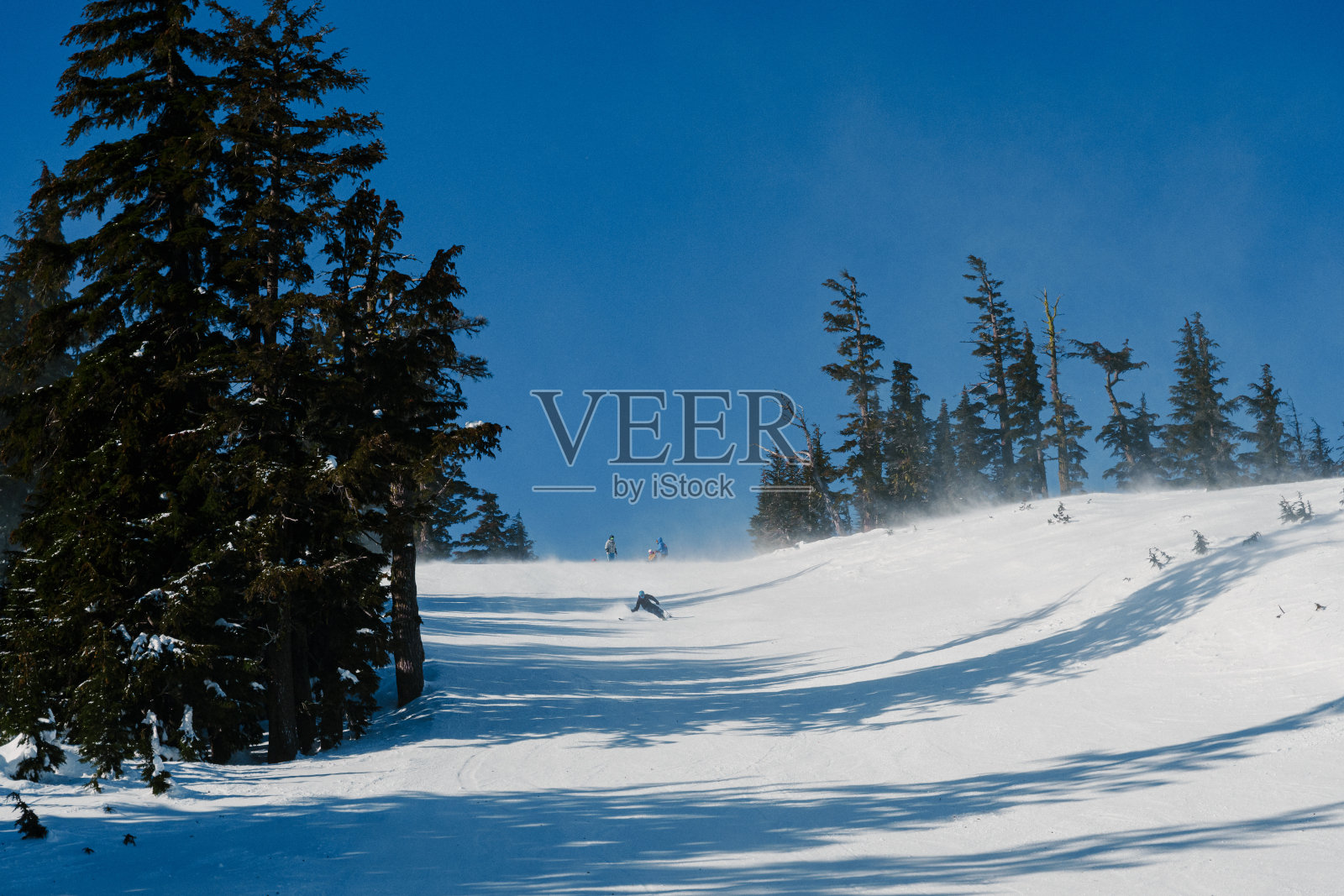 适应性运动员在阳光明媚的日子里滑雪照片摄影图片