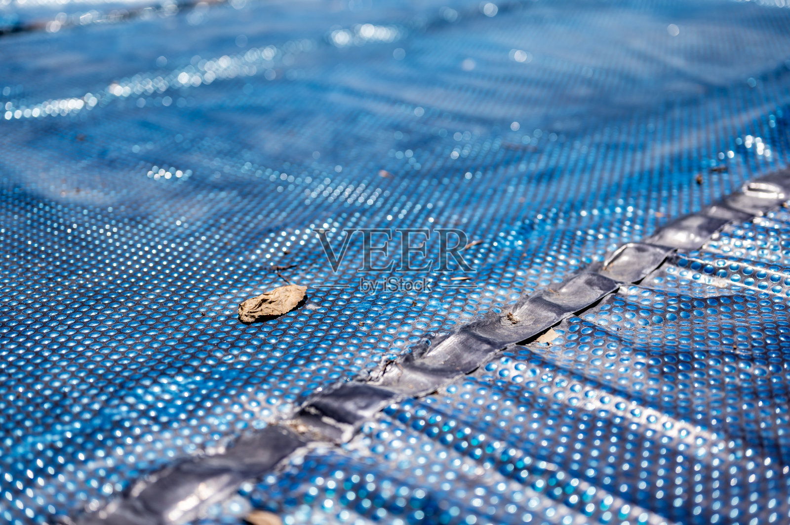 单片叶子在可伸缩的浮动泳池盖上，以防止叶子进入并保持热量。照片摄影图片