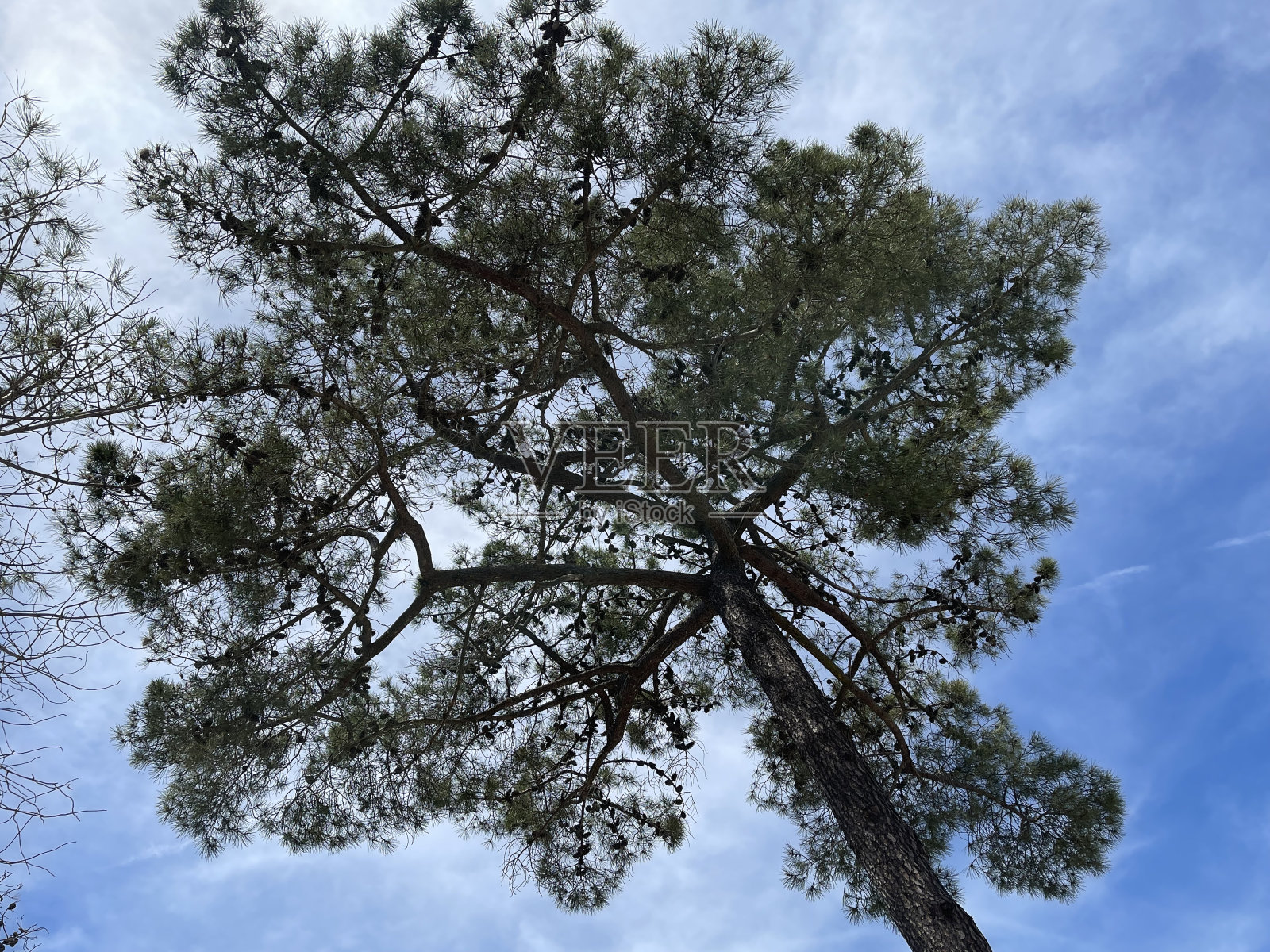 自然和那个自然照片摄影图片