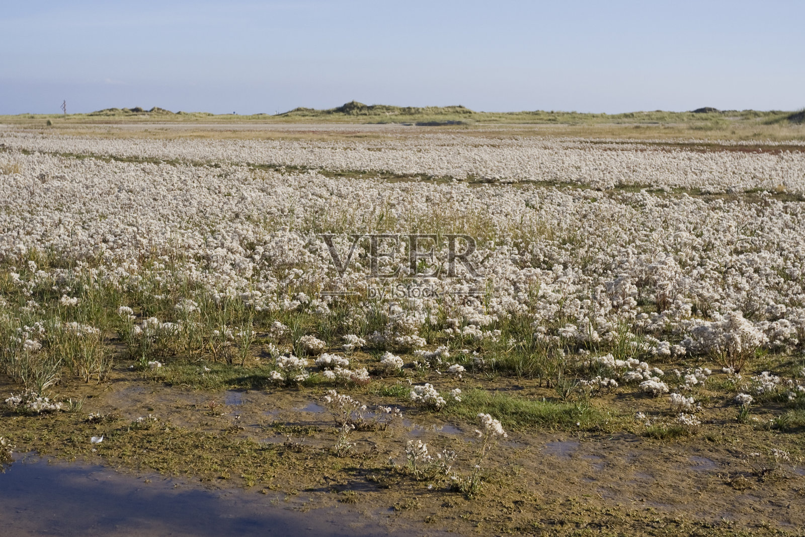Getijdengebied，潮汐平原照片摄影图片