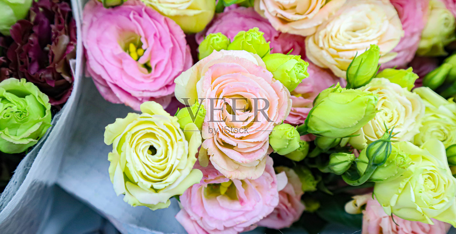 荷兰玫瑰，杂交玫瑰，各种玫瑰。粉红色玫瑰的圆锥花序。花店里的黄玫瑰。照片摄影图片