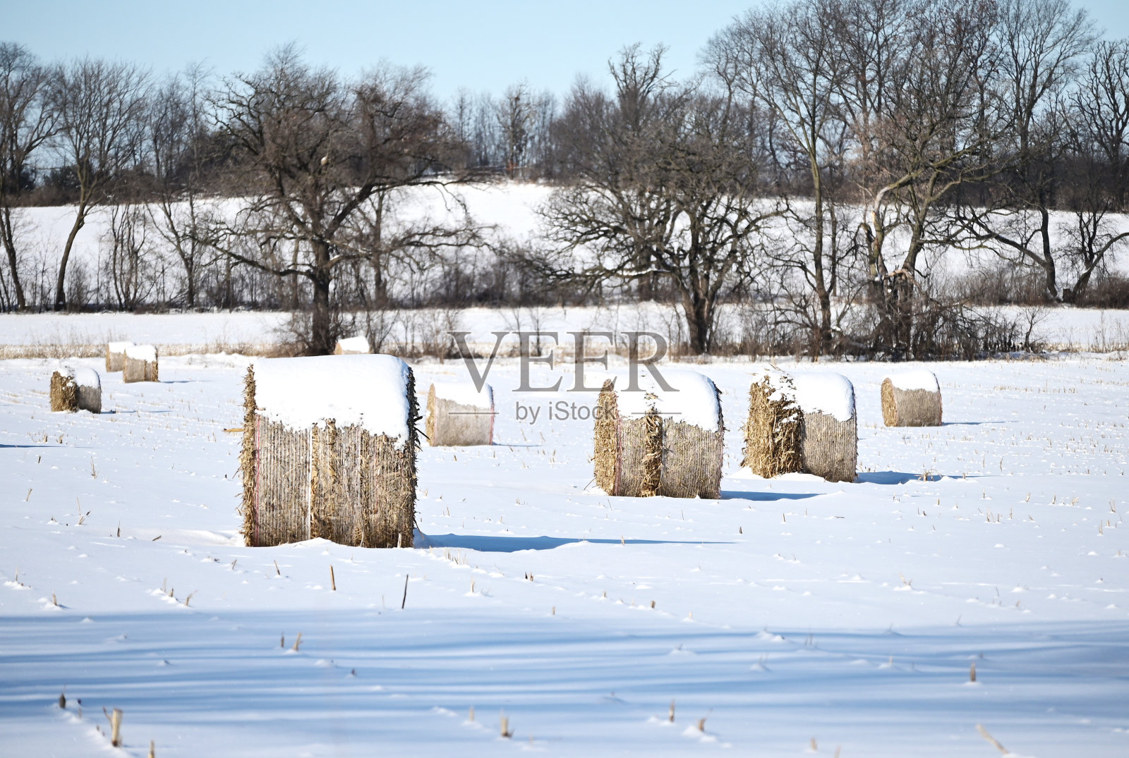 雪中的圆捆照片摄影图片