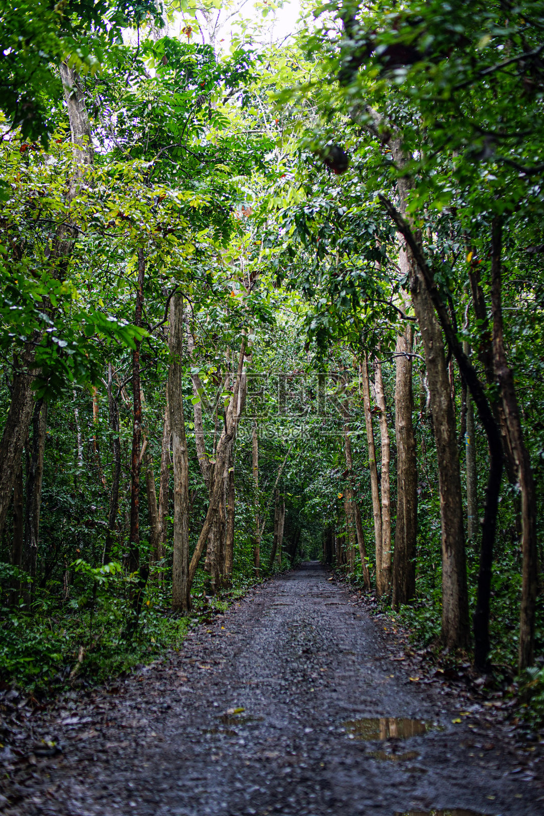 唉，普沃国家公园照片摄影图片
