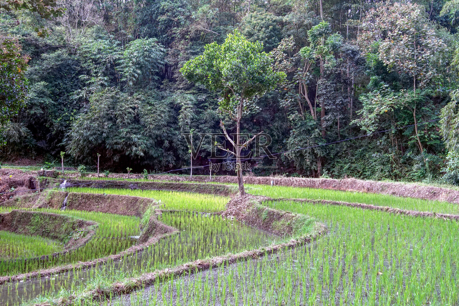 来源马龙自然旅游公园照片摄影图片