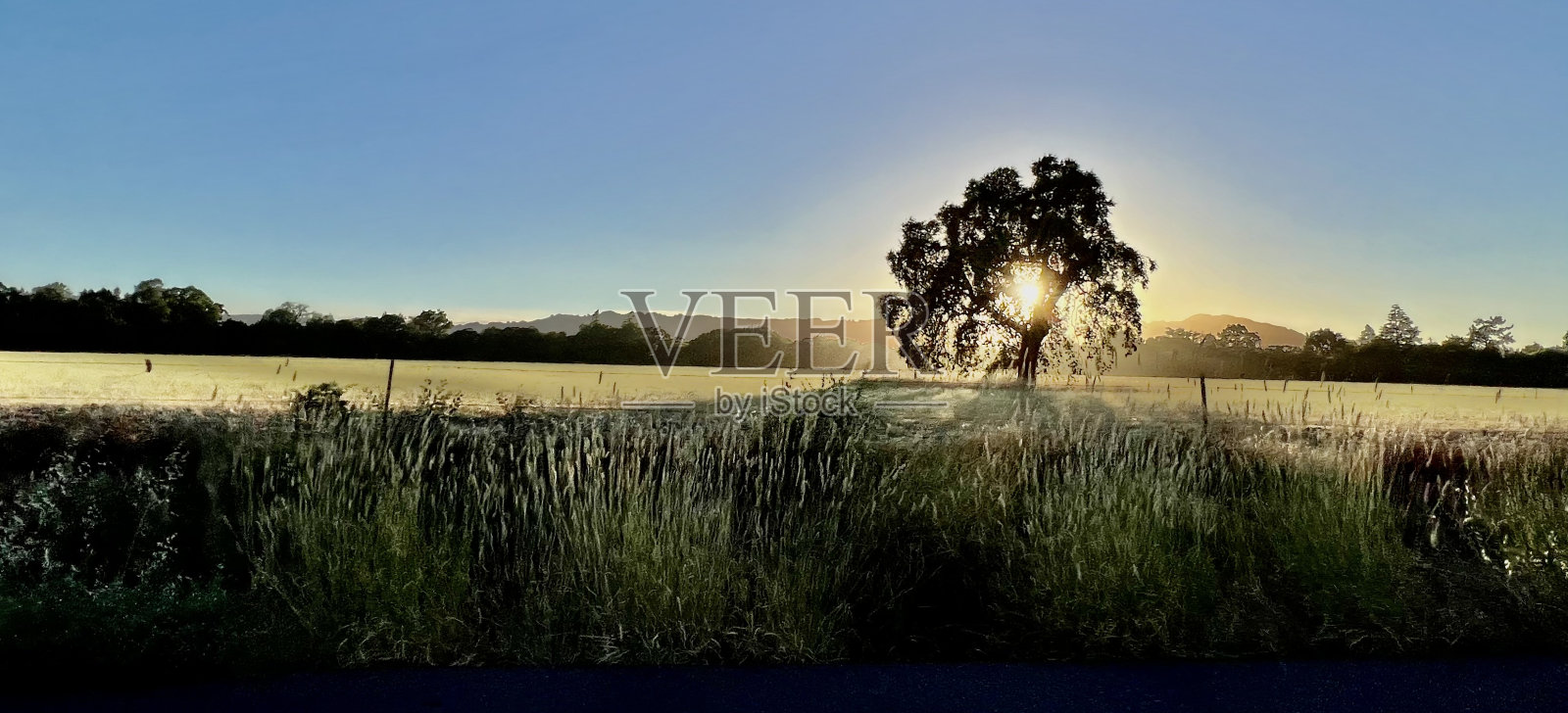 索诺玛的自驾游照片摄影图片