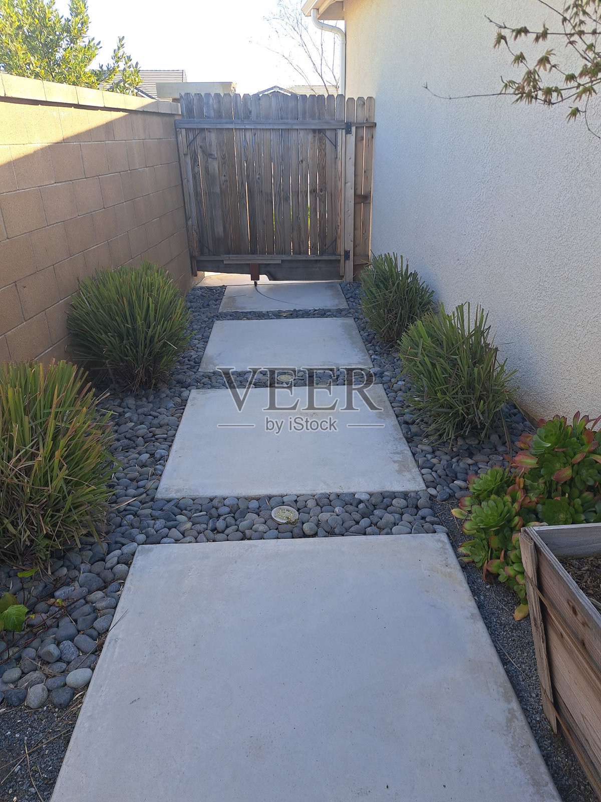 景观设计抗旱友好照片摄影图片