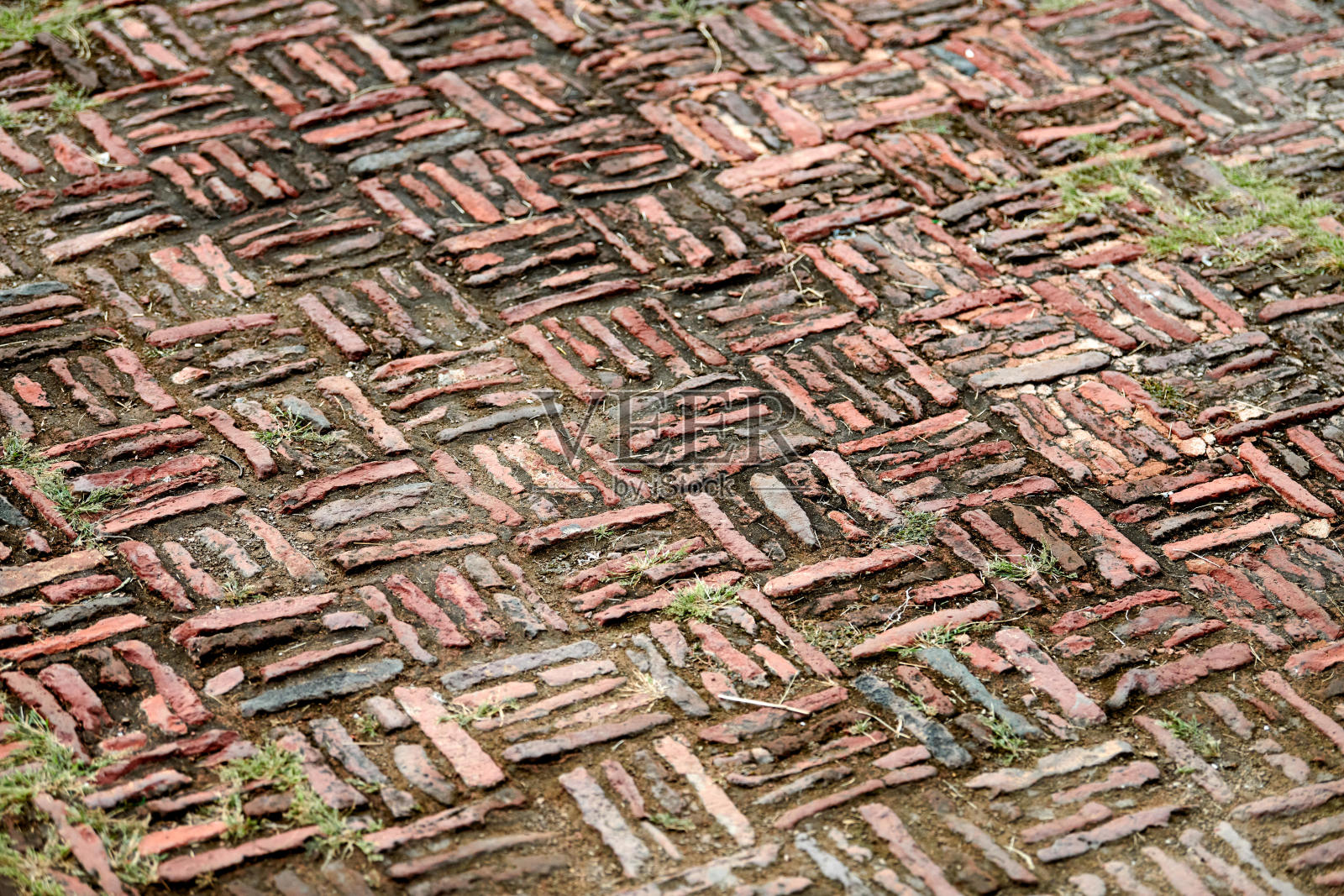 古老的印第安砖砌在阿格拉红堡，砖石铺满了青苔不寻常的图案照片摄影图片