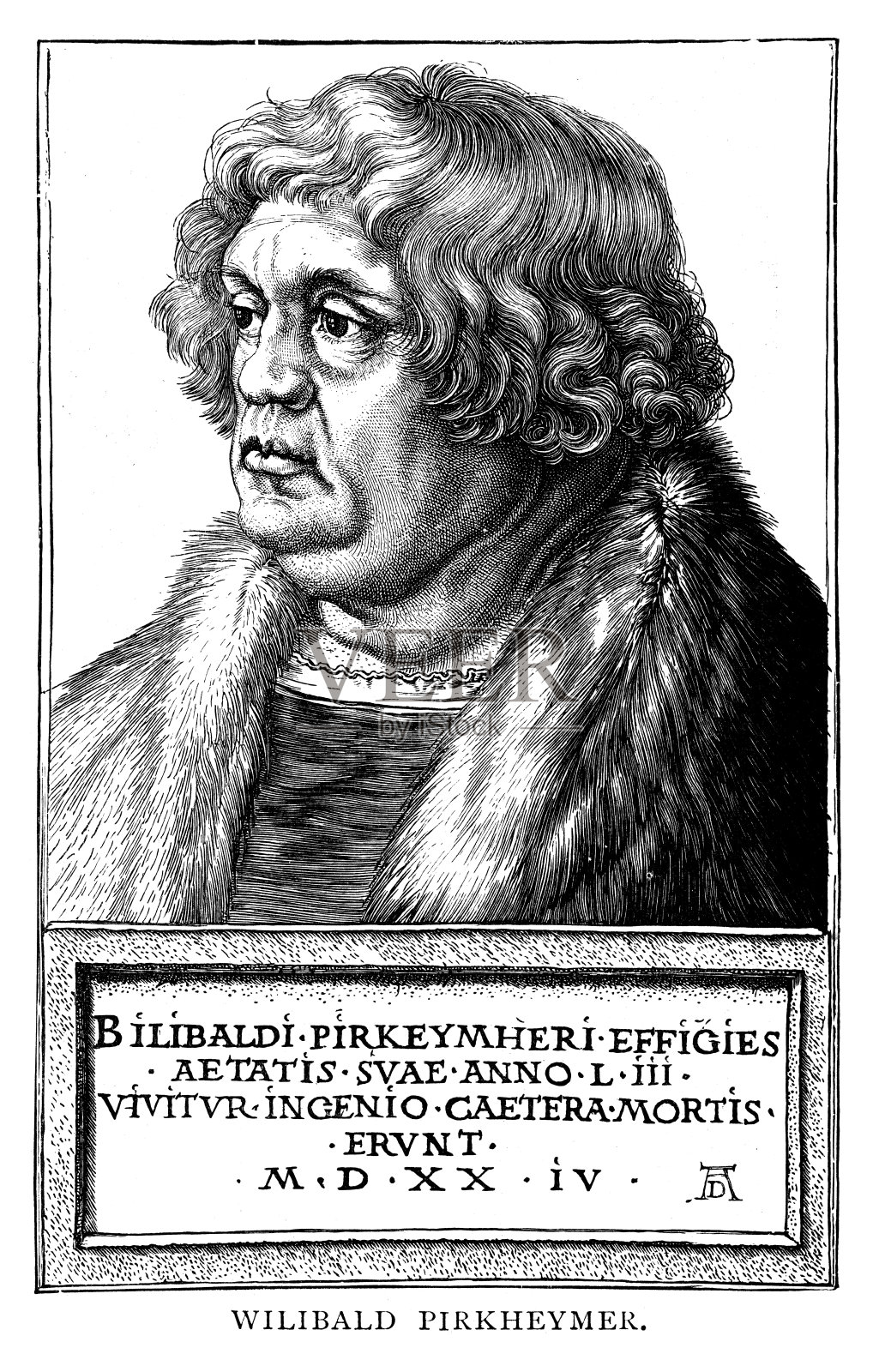 女人的画像插画图片素材