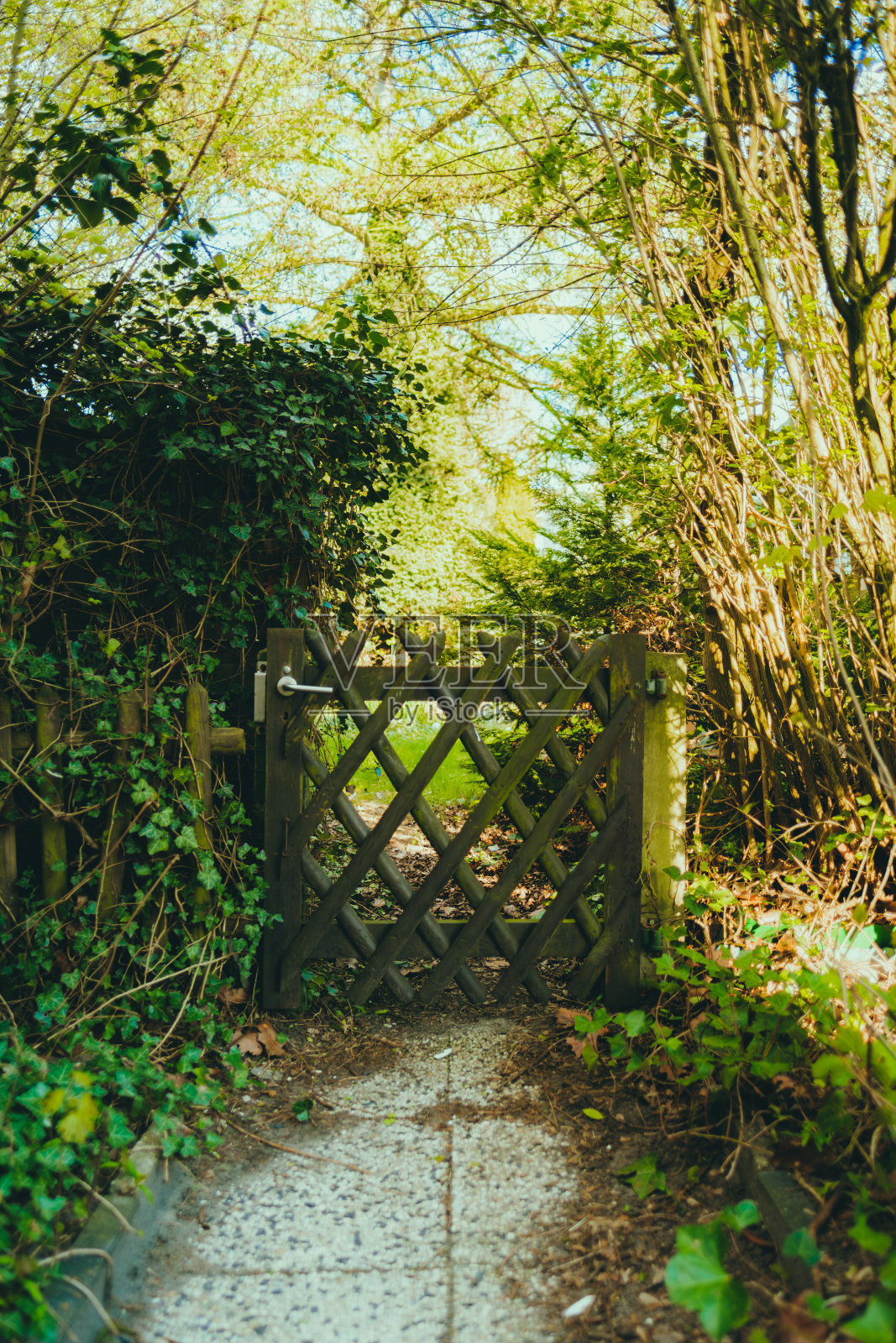 通往花园的旧木门。照片摄影图片