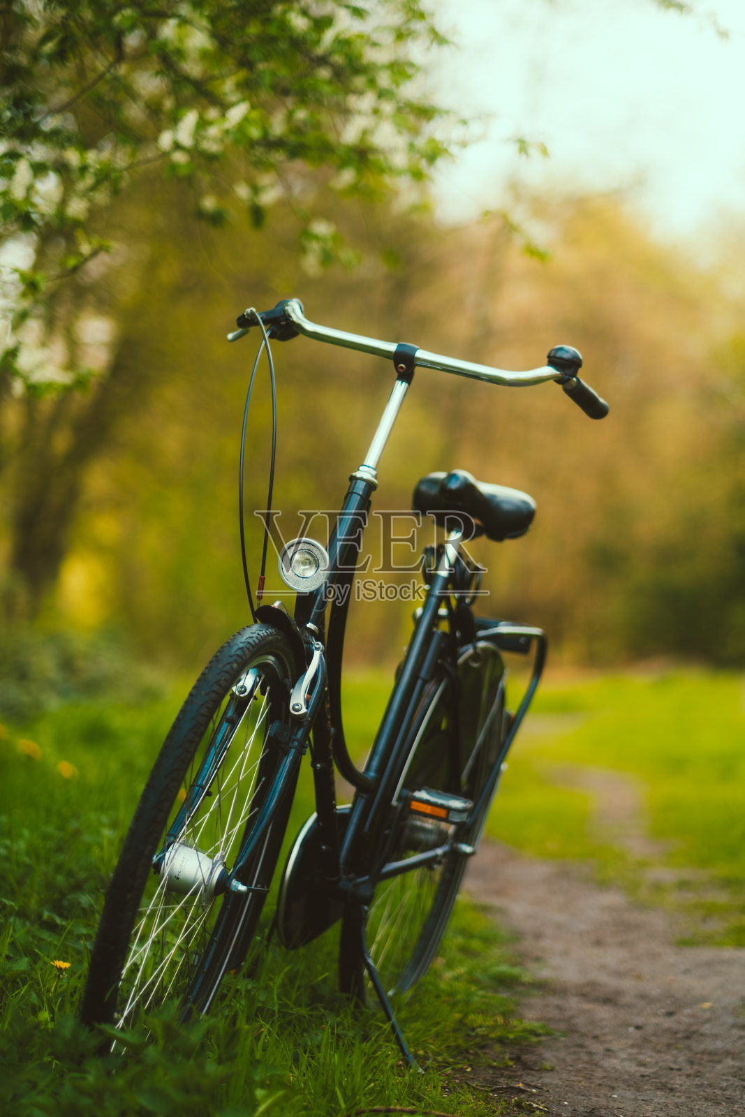 在一个阳光明媚的春日里，自行车在公园的路上。照片摄影图片