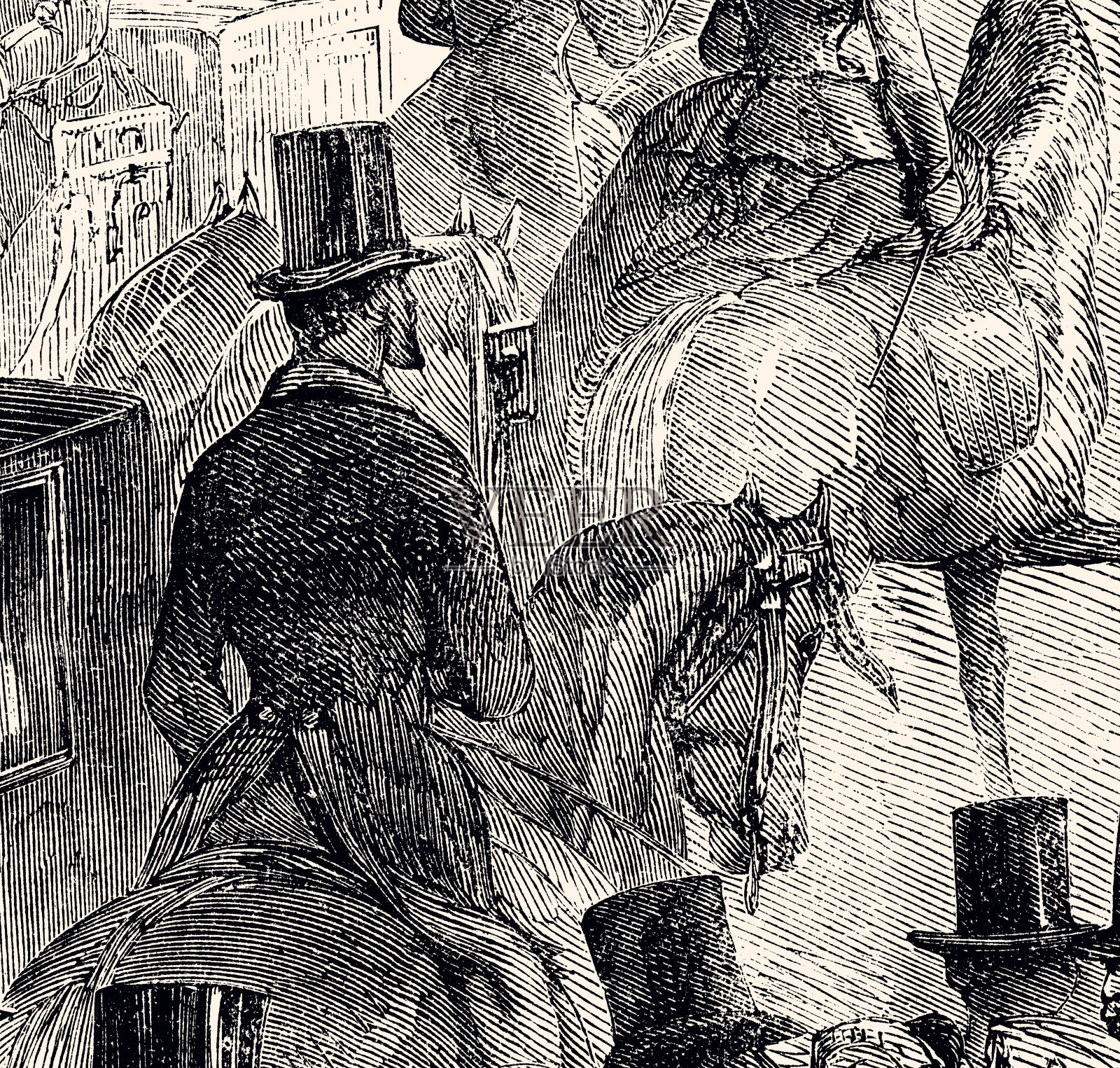 骑马(XXXL)插画图片素材