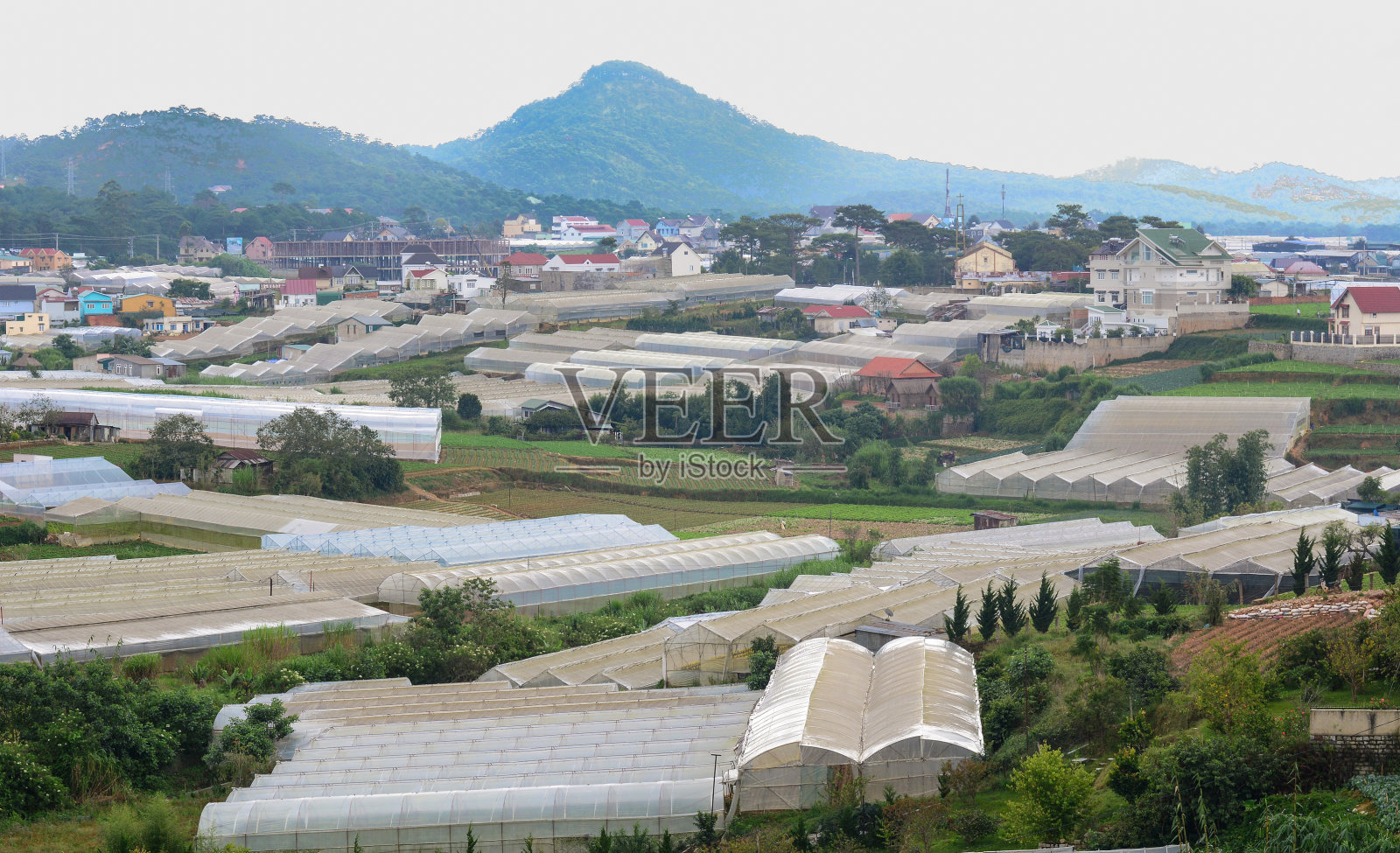 越南大叻乡村风景照片摄影图片